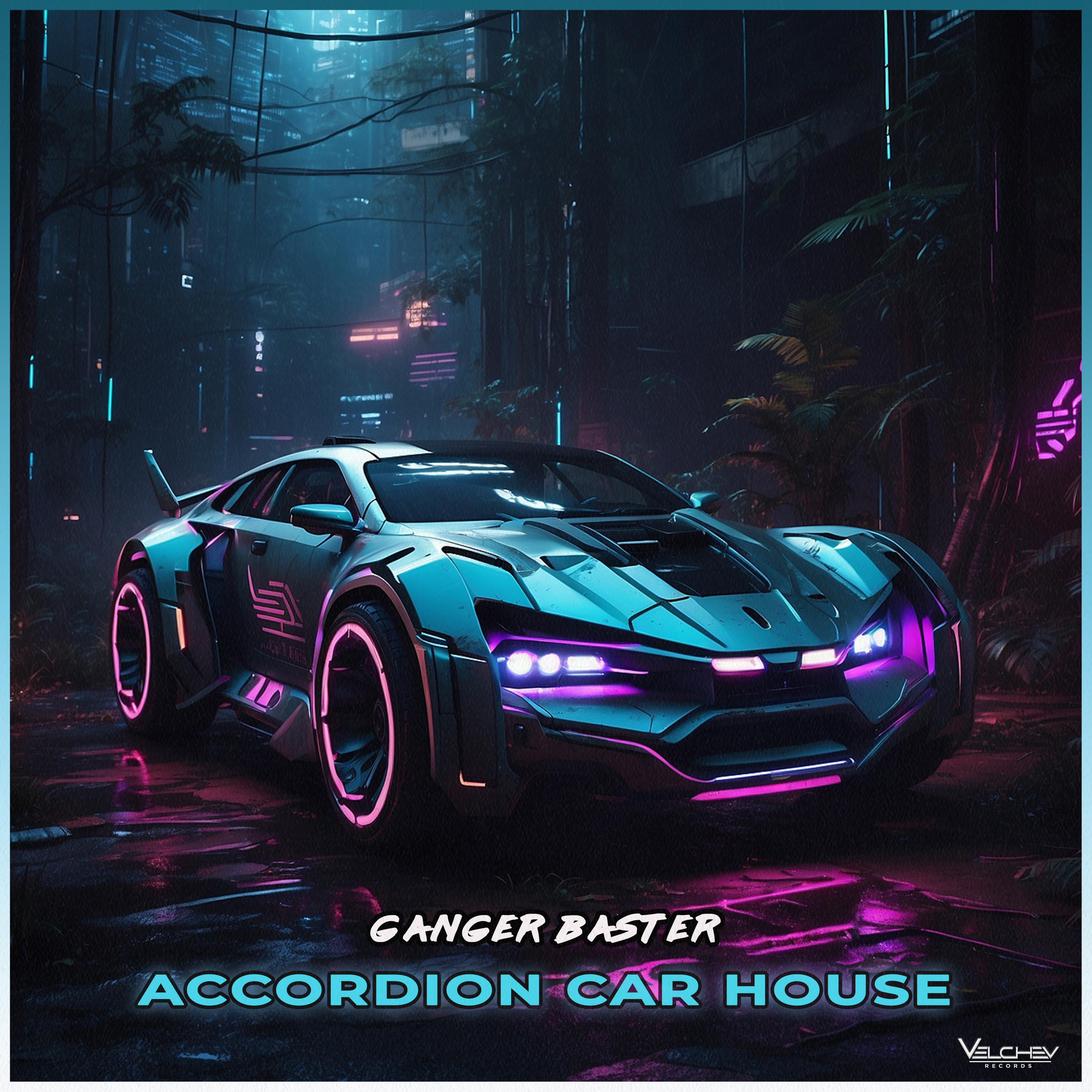 Постер альбома Accordion Car House