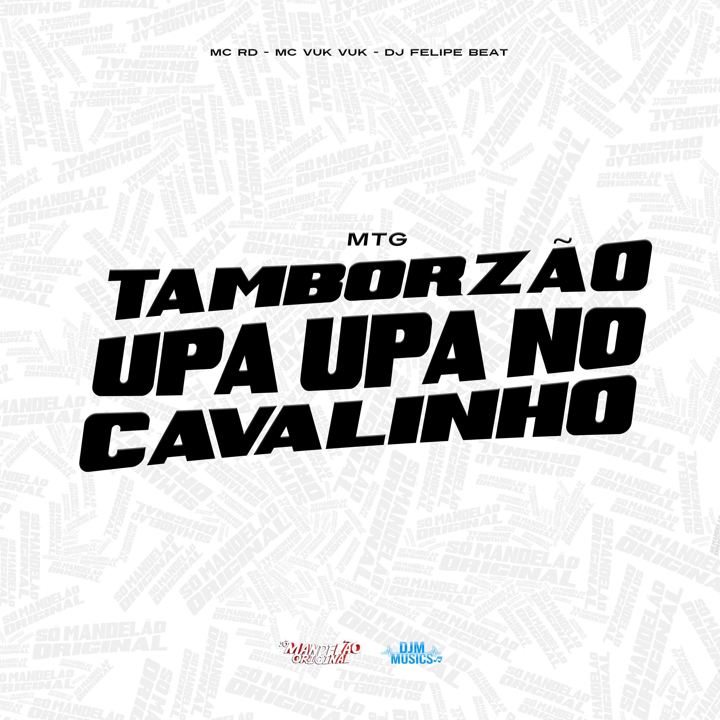 Постер альбома Mtg Tamborzão Upa Upa no Cavalinho