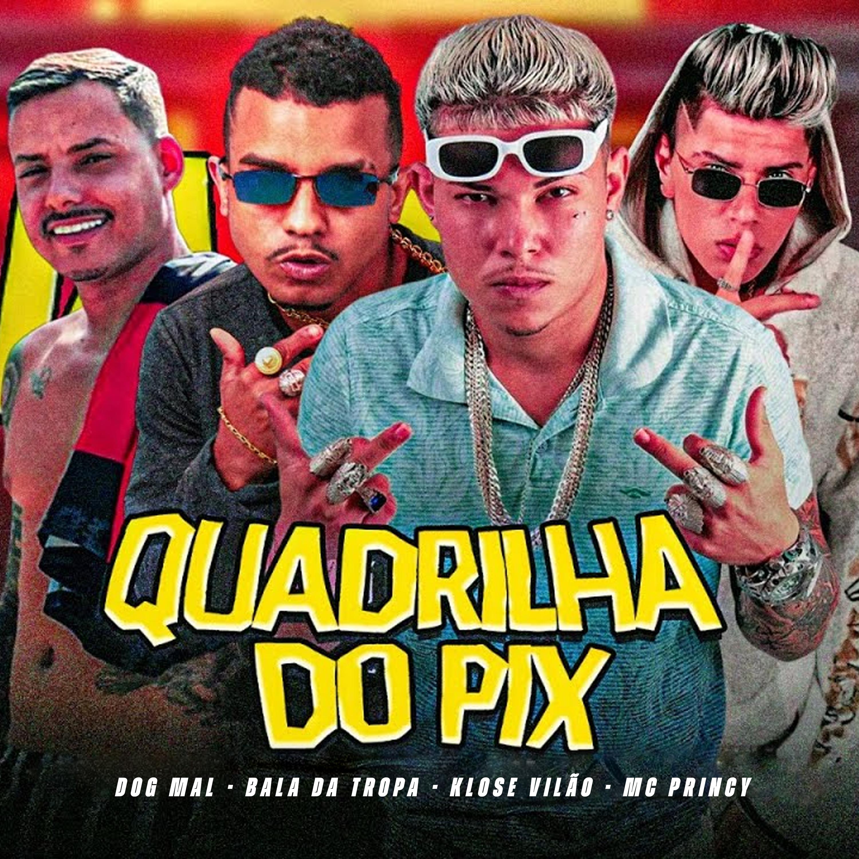 Постер альбома Quadrilha do Pix