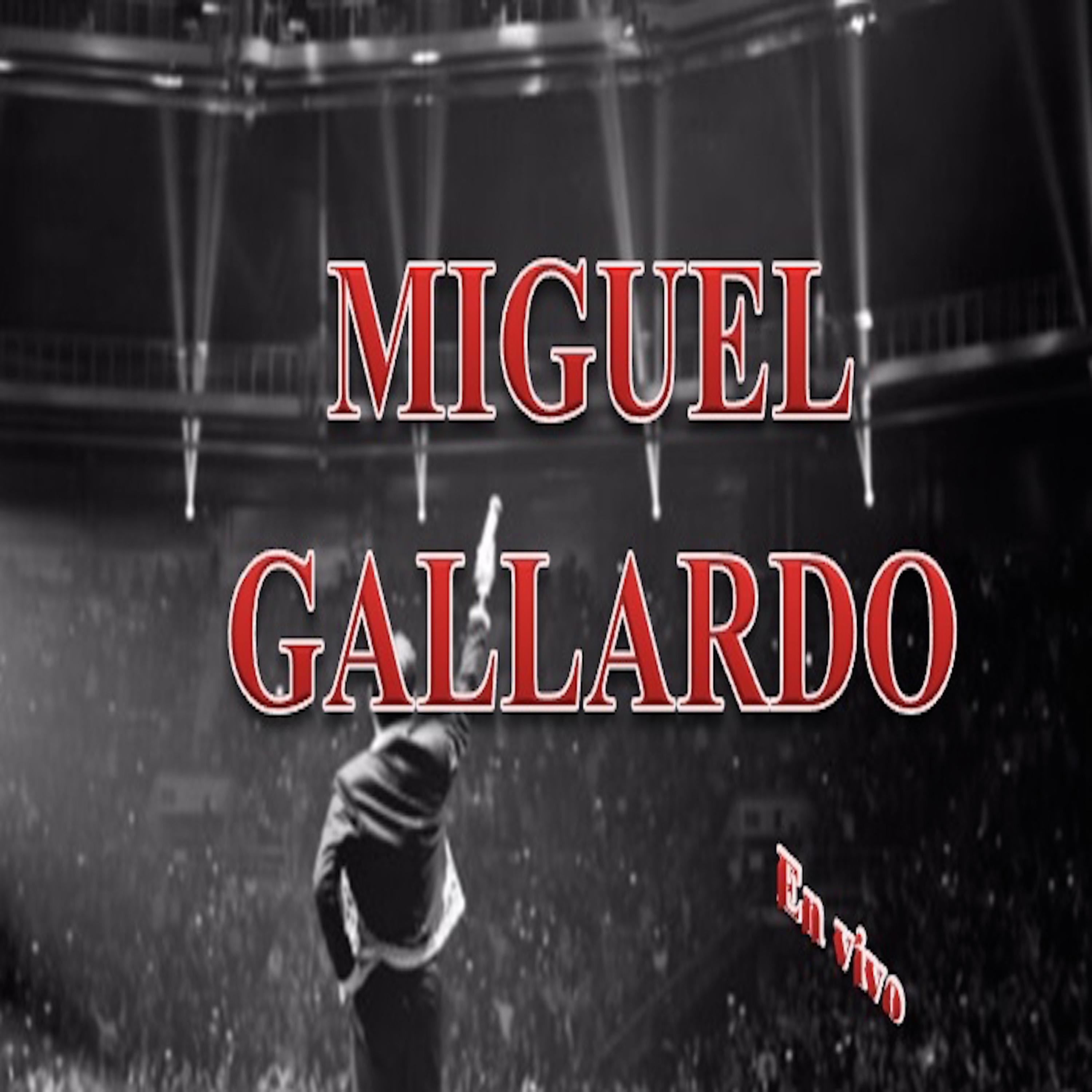 Постер альбома Miguel Gallardo en Vivo