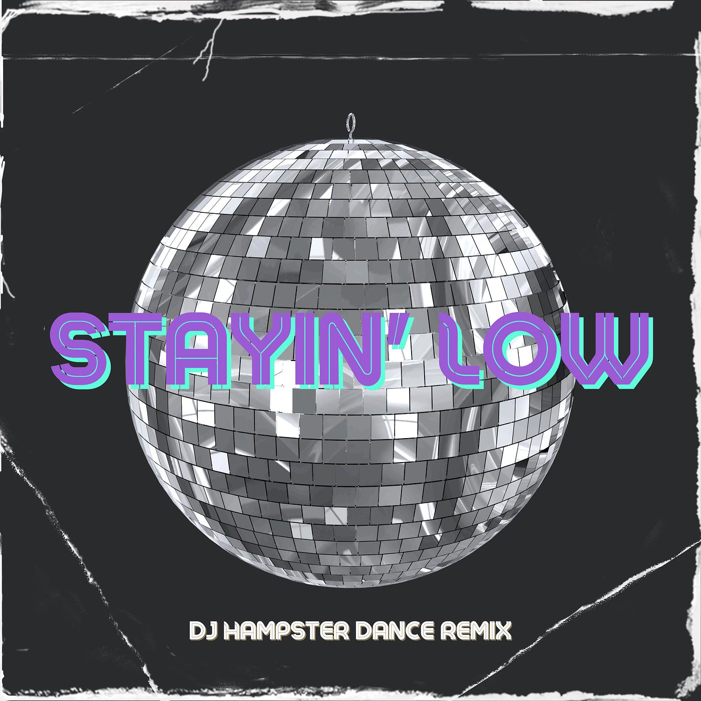 Постер альбома Stayin' low (DJ Hampster Dance Remix)