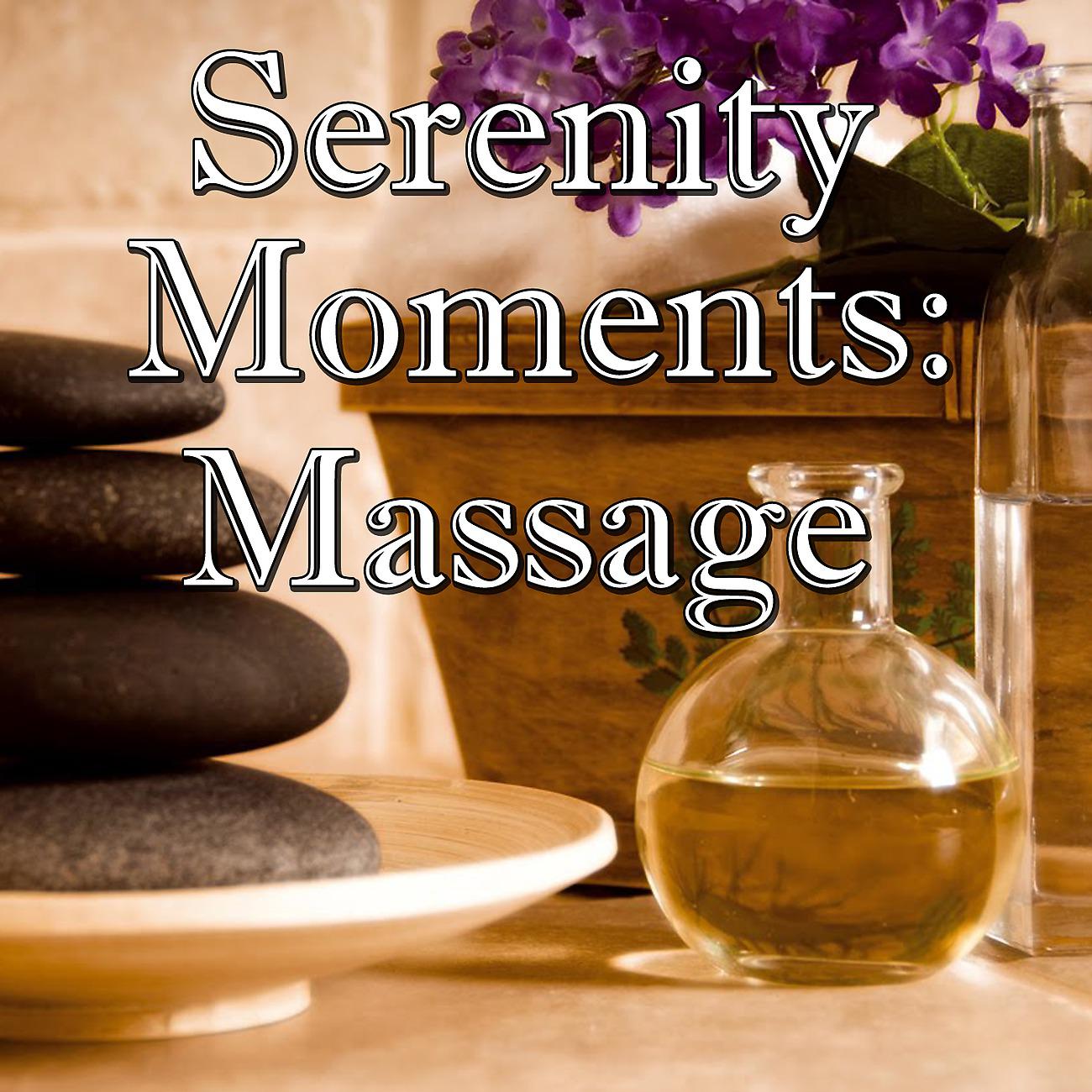 Постер альбома Serenity Moments: Massage