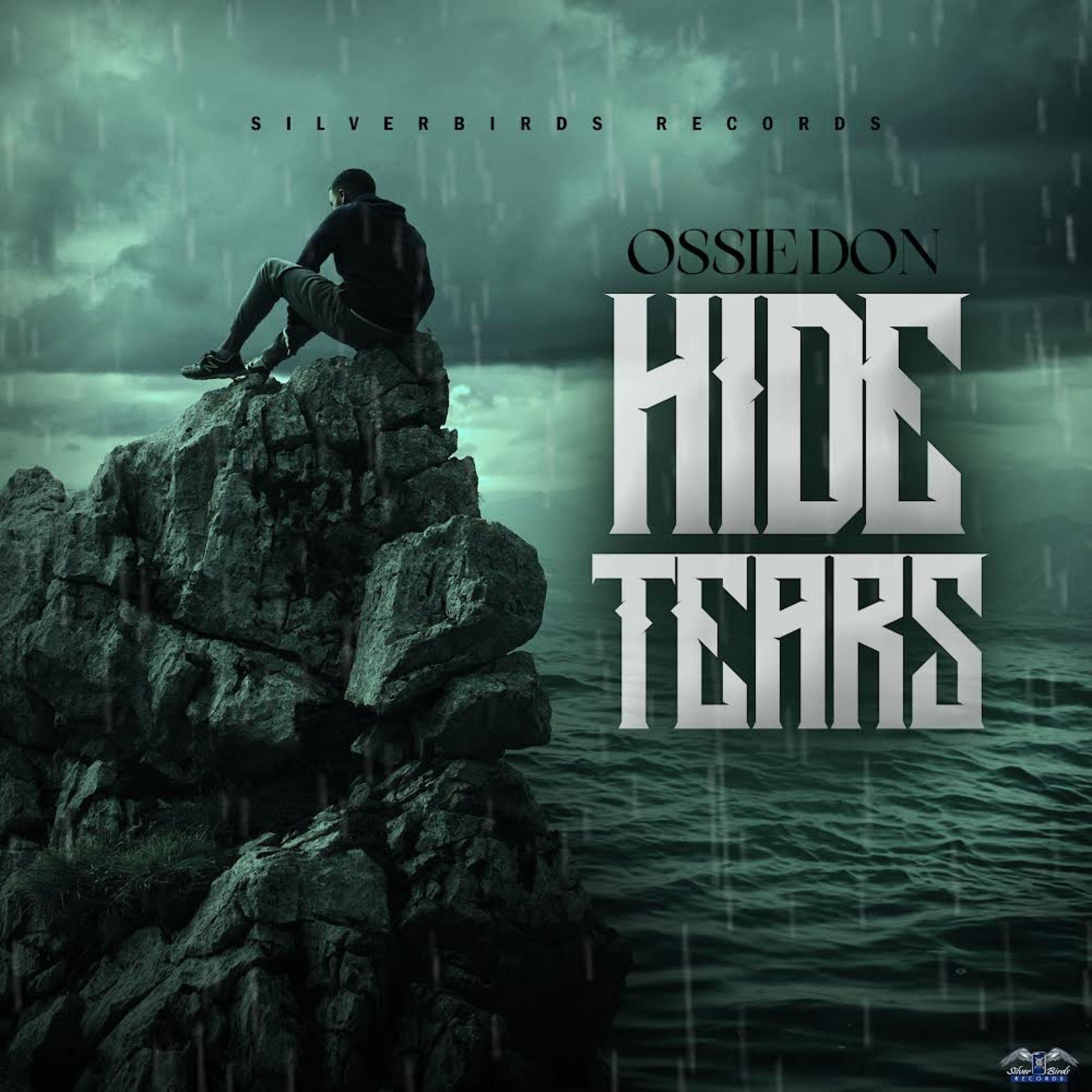 Постер альбома Hide Tears