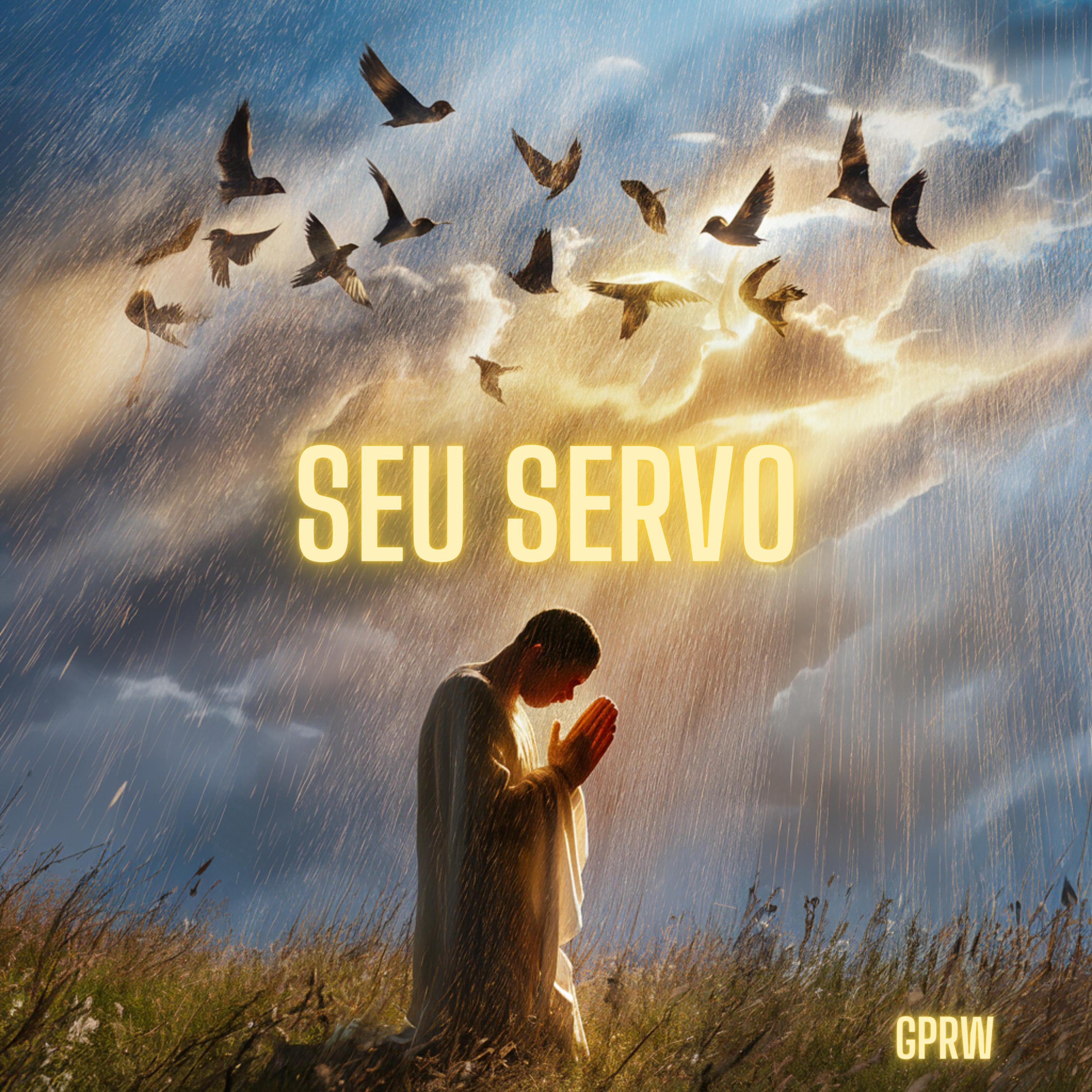 Постер альбома Seu Servo
