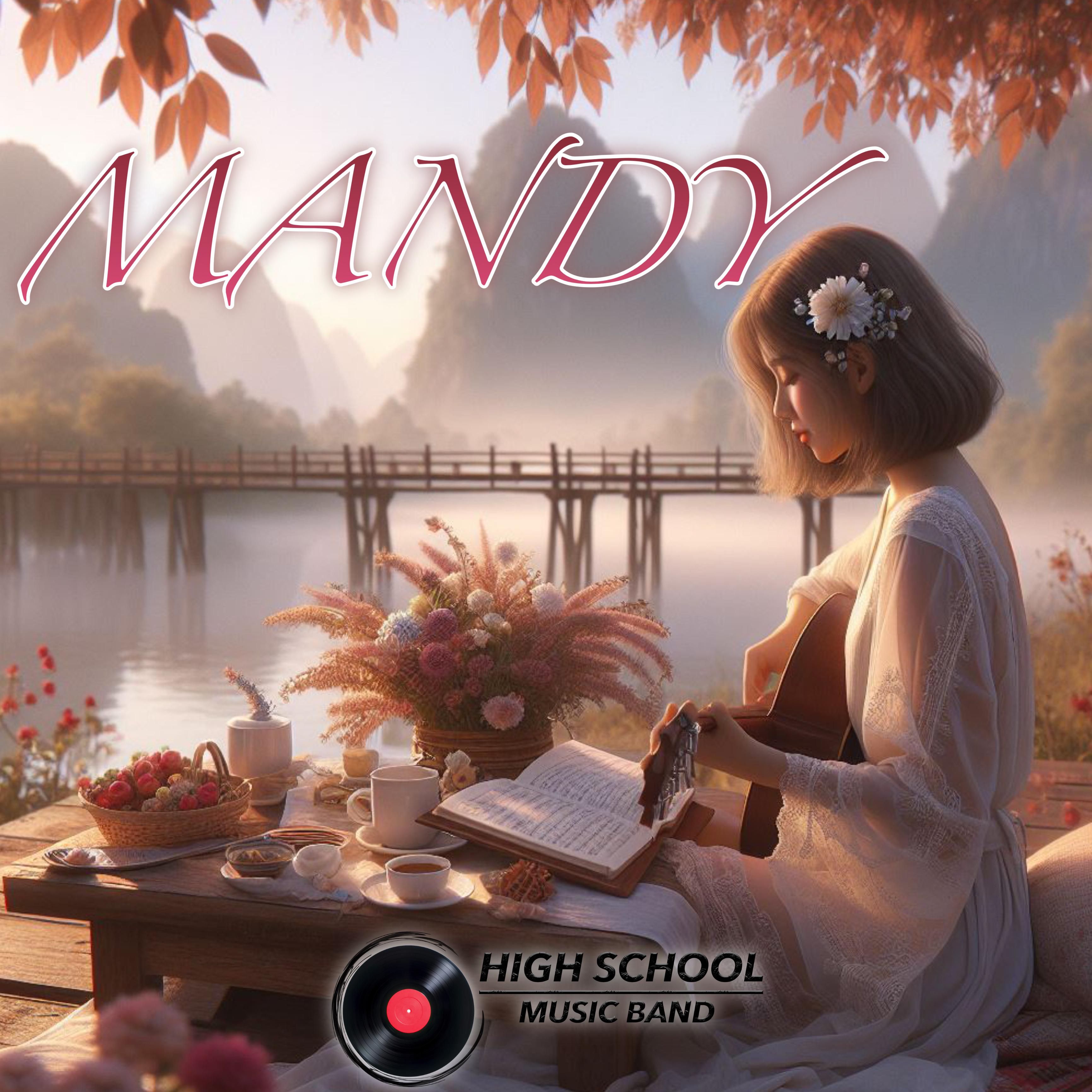 Постер альбома Mandy