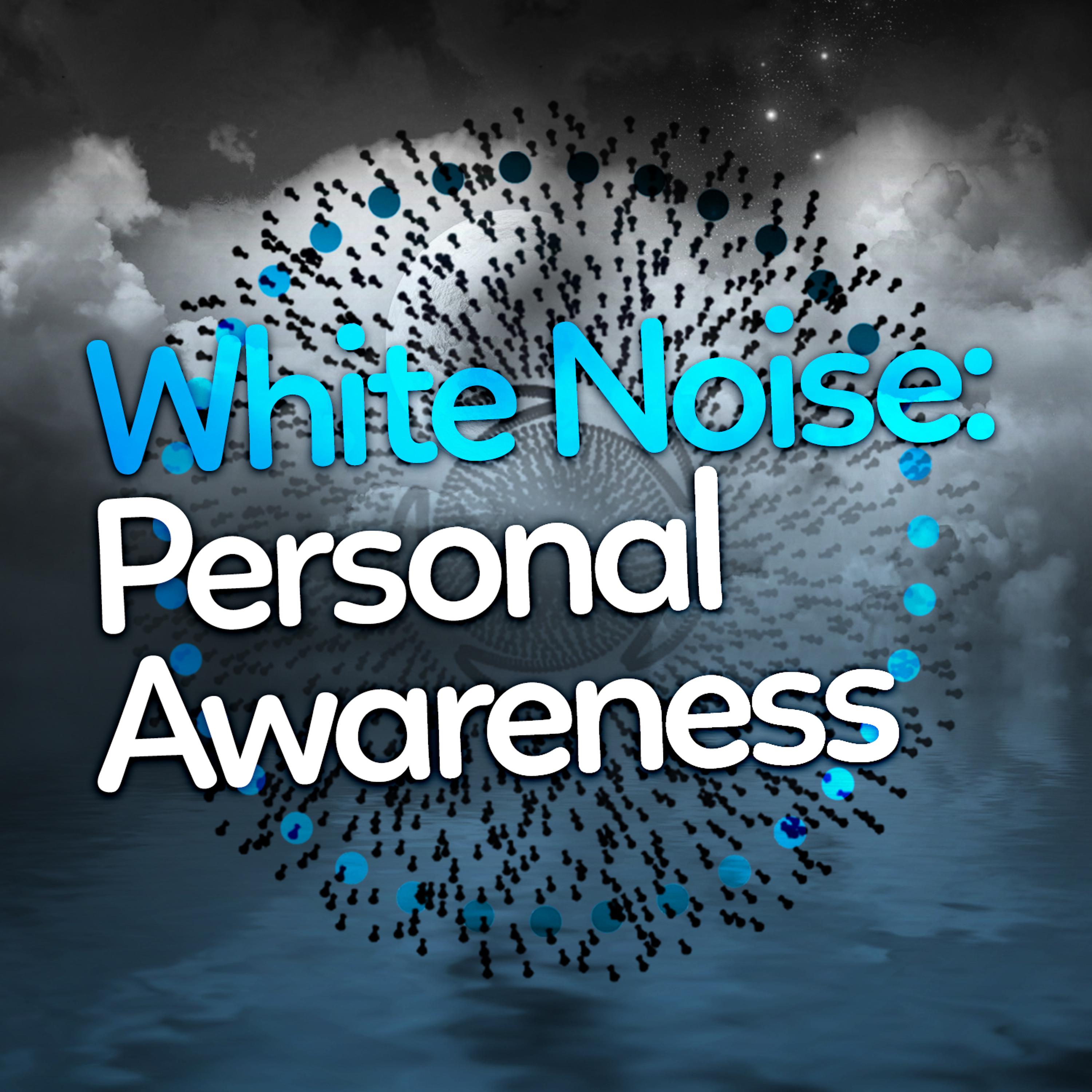 Постер альбома White Noise: Personal Awareness