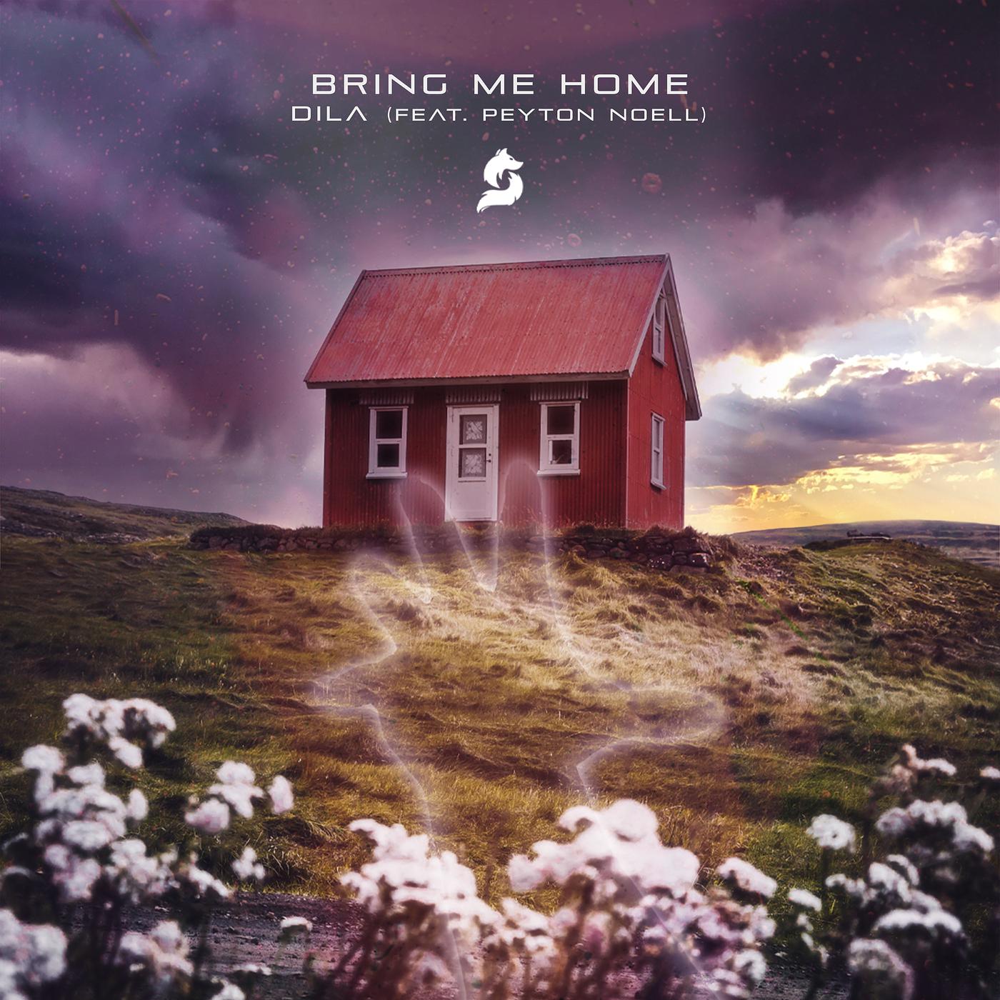 Постер альбома Bring Me Home