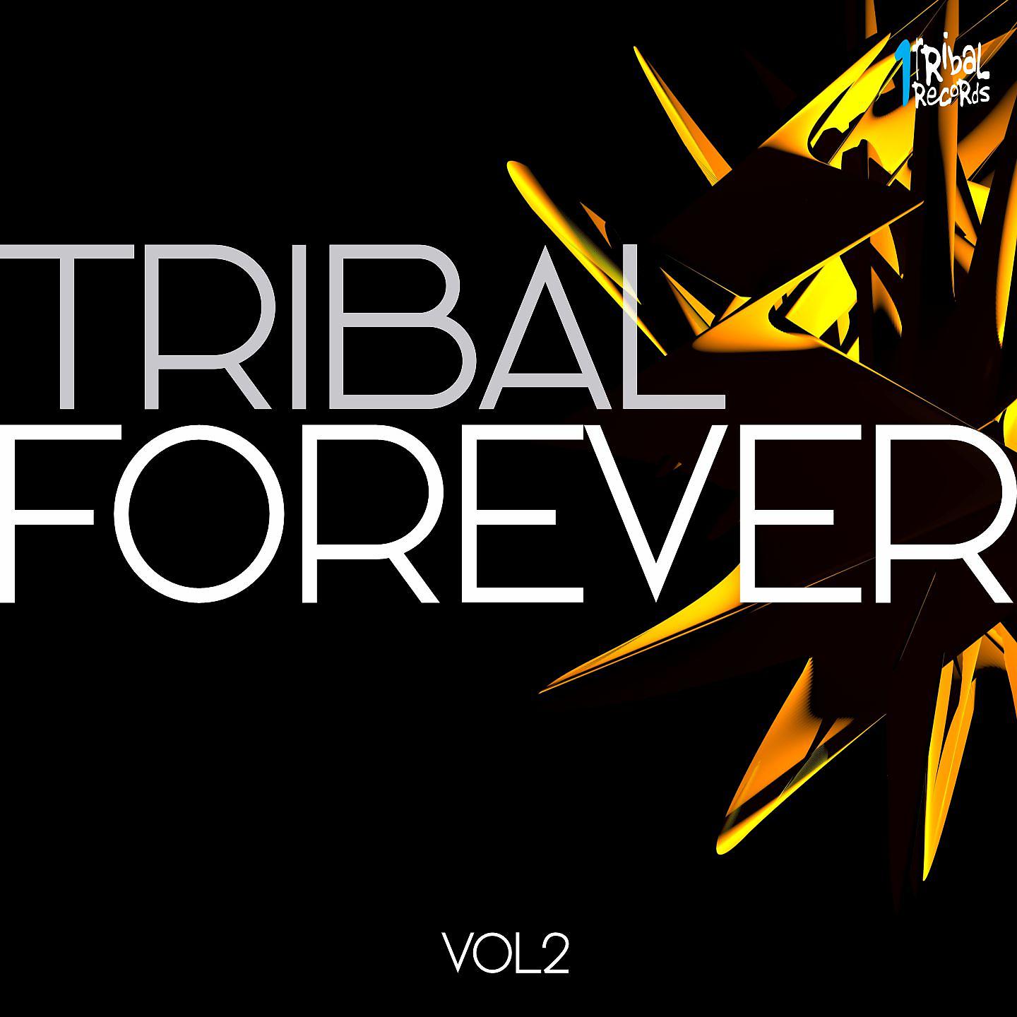 Постер альбома Tribal Forever, Vol. 2