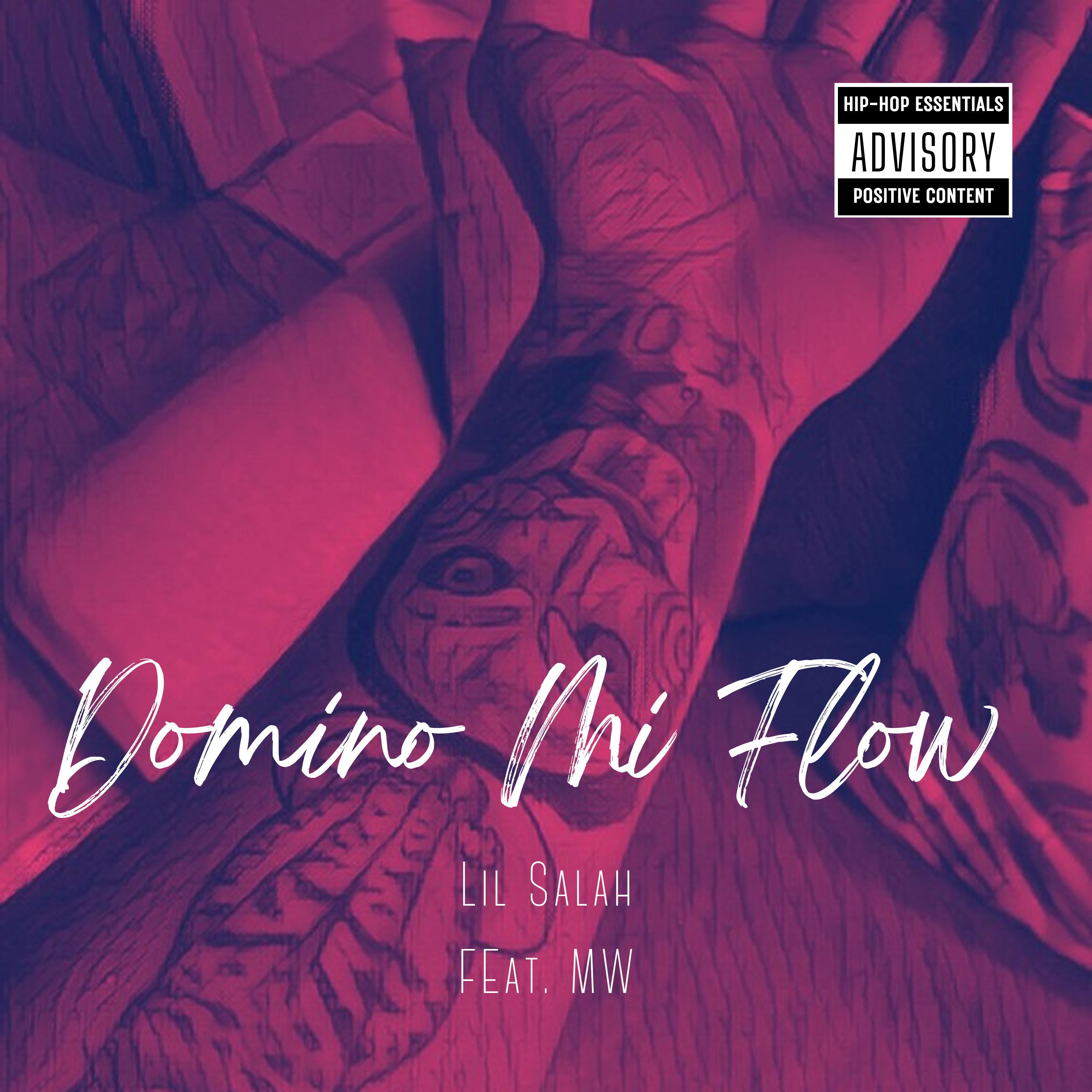 Постер альбома Domino Mi Flow (Remix)