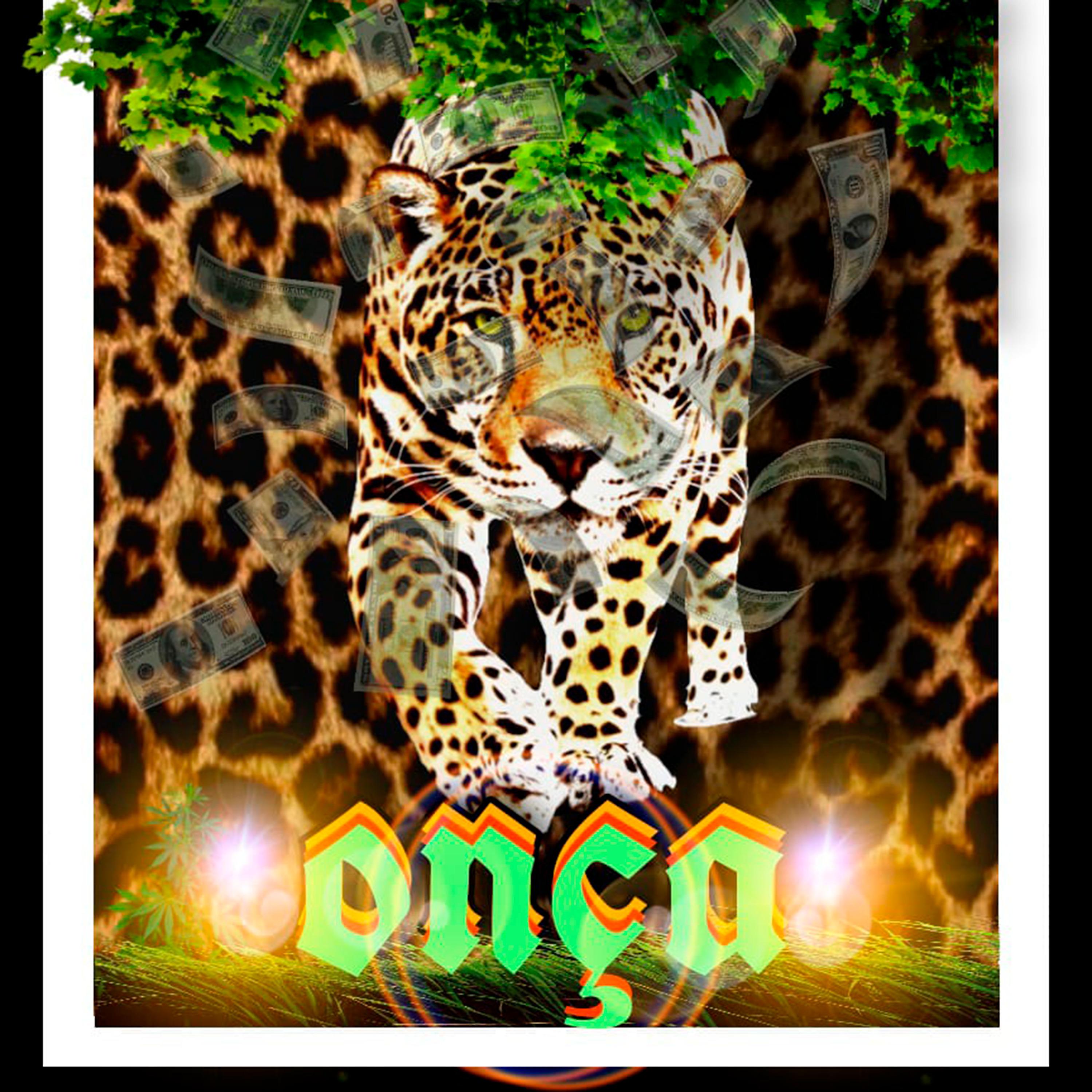 Постер альбома Onça