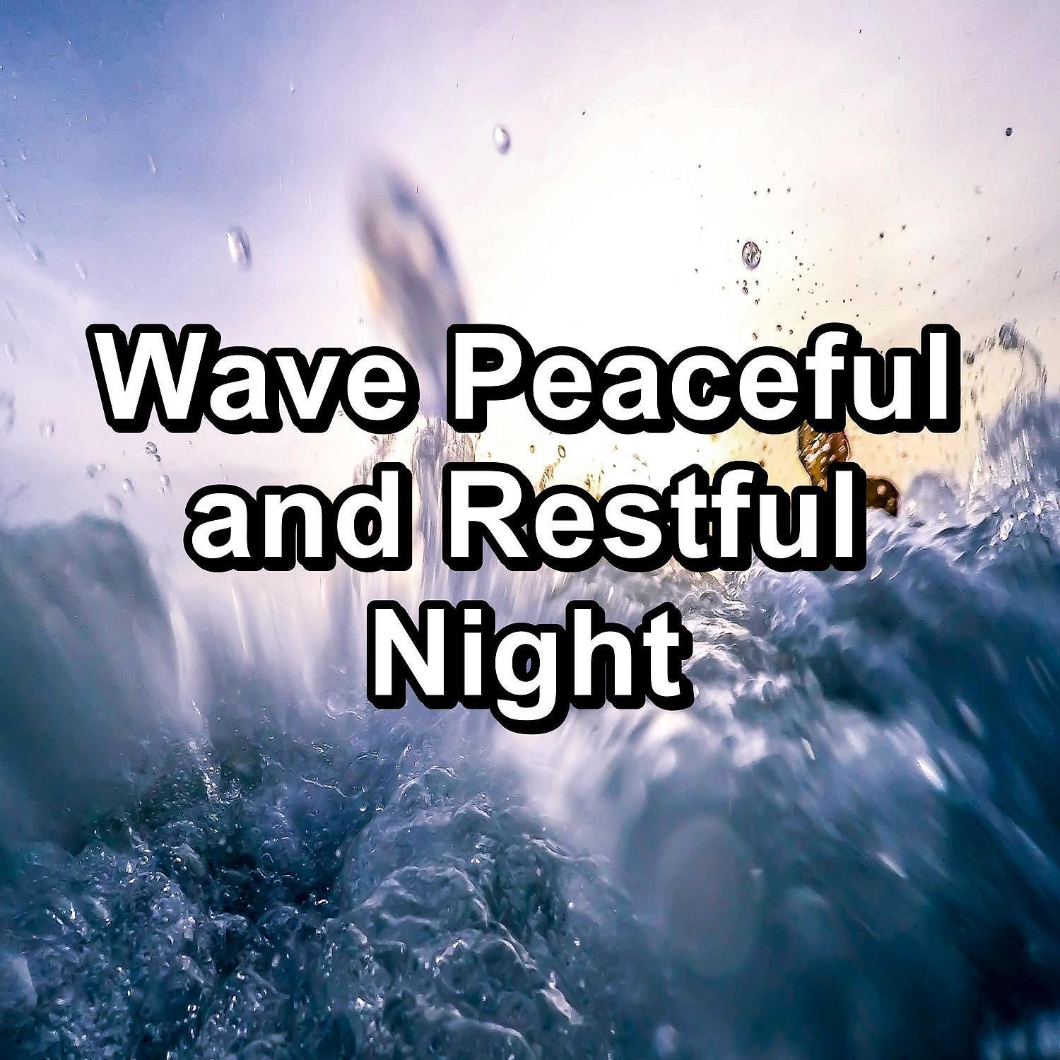 Постер альбома Wave Peaceful and Restful Night