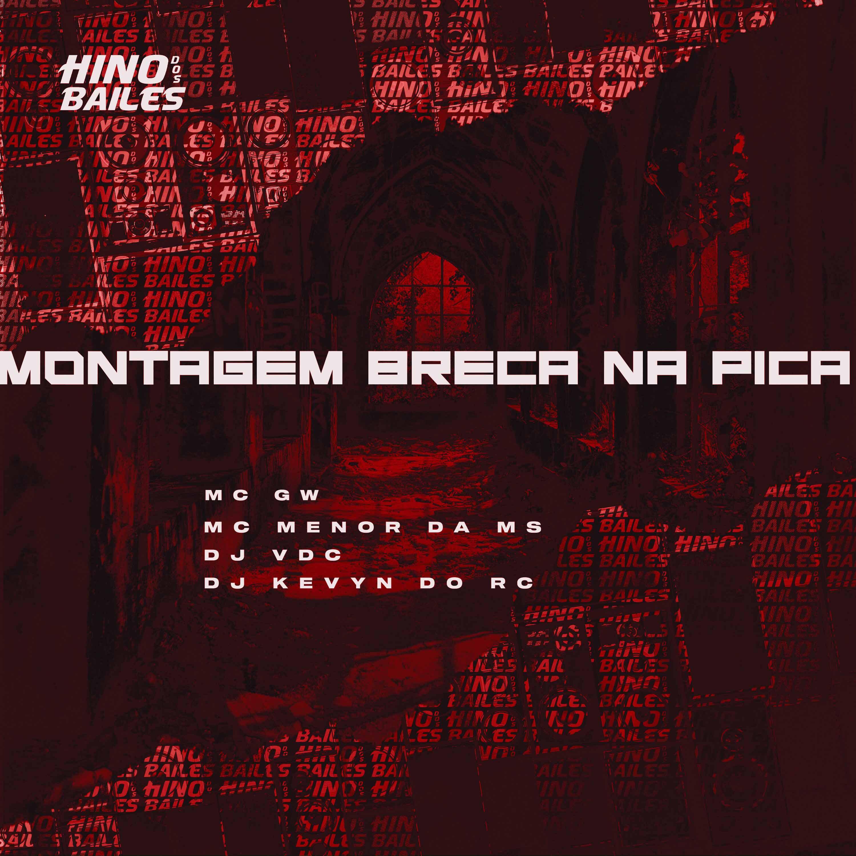 Постер альбома Montagem Breca na Pica