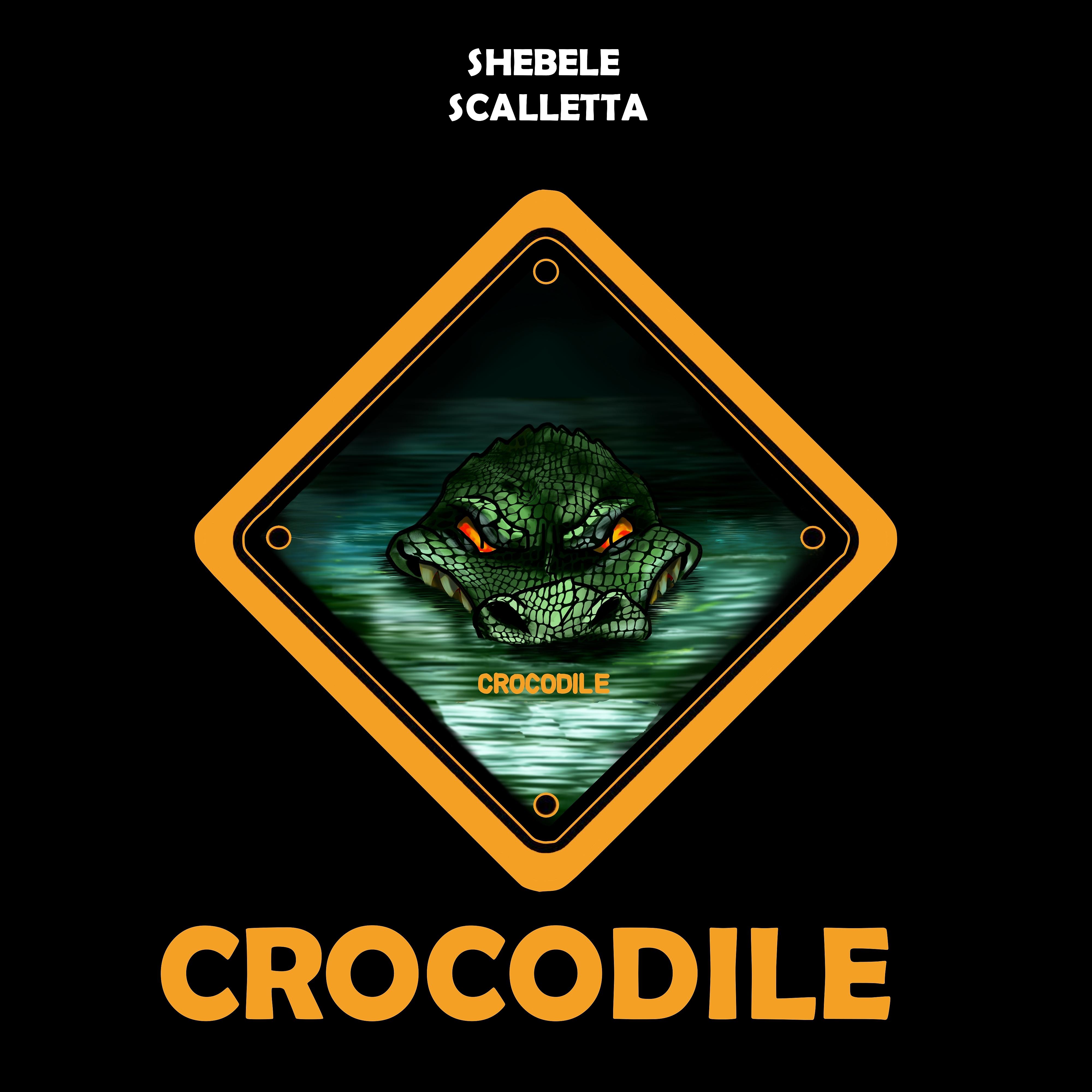 Постер альбома Crocodile