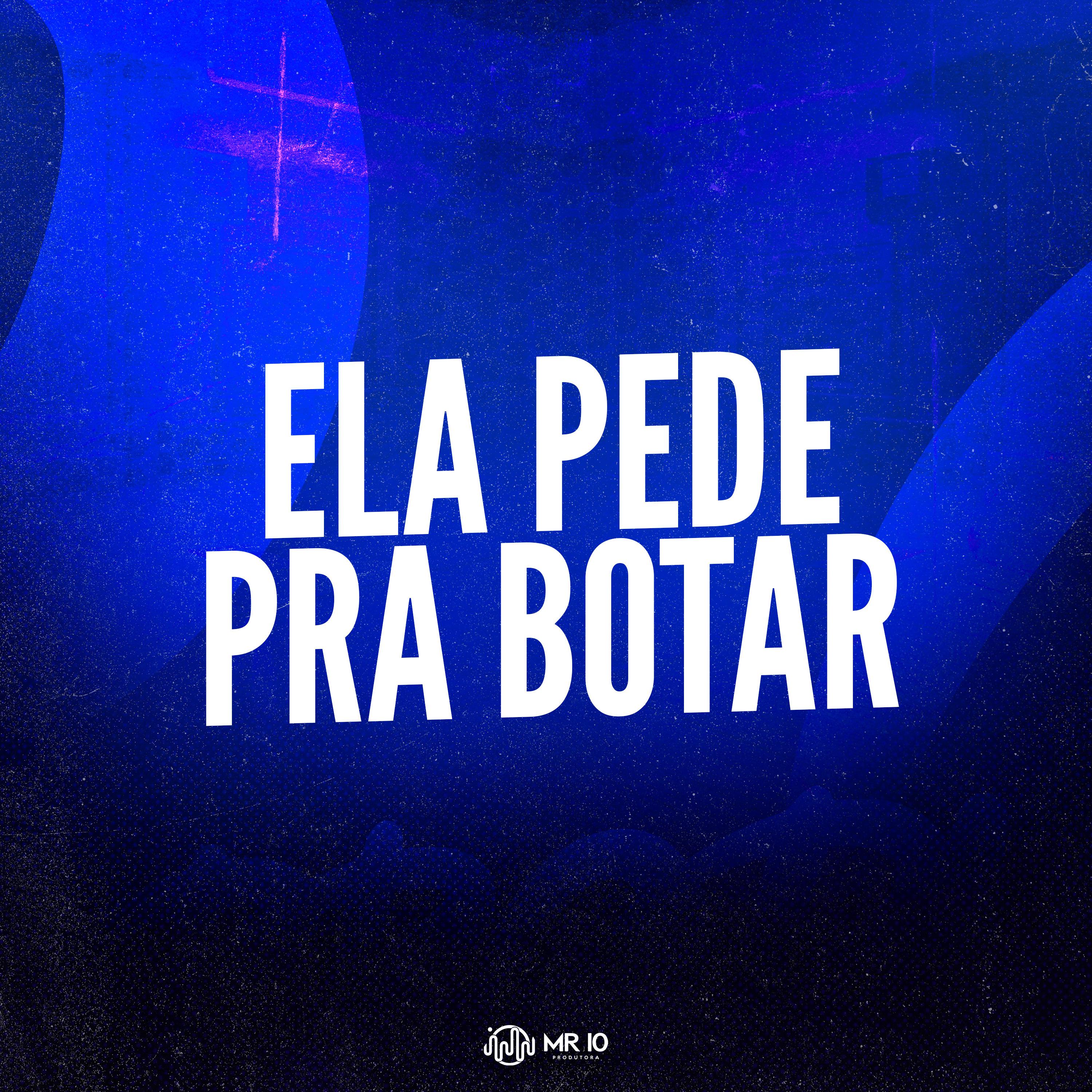 Постер альбома Ela Pede pra Botar