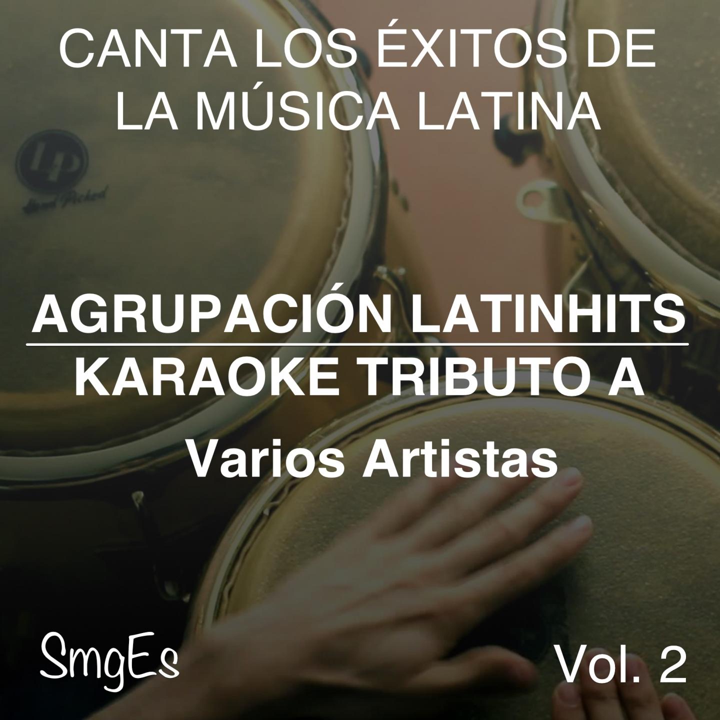 Постер альбома Instrumental Karaoke Series: Varios Artistas, Vol. 2