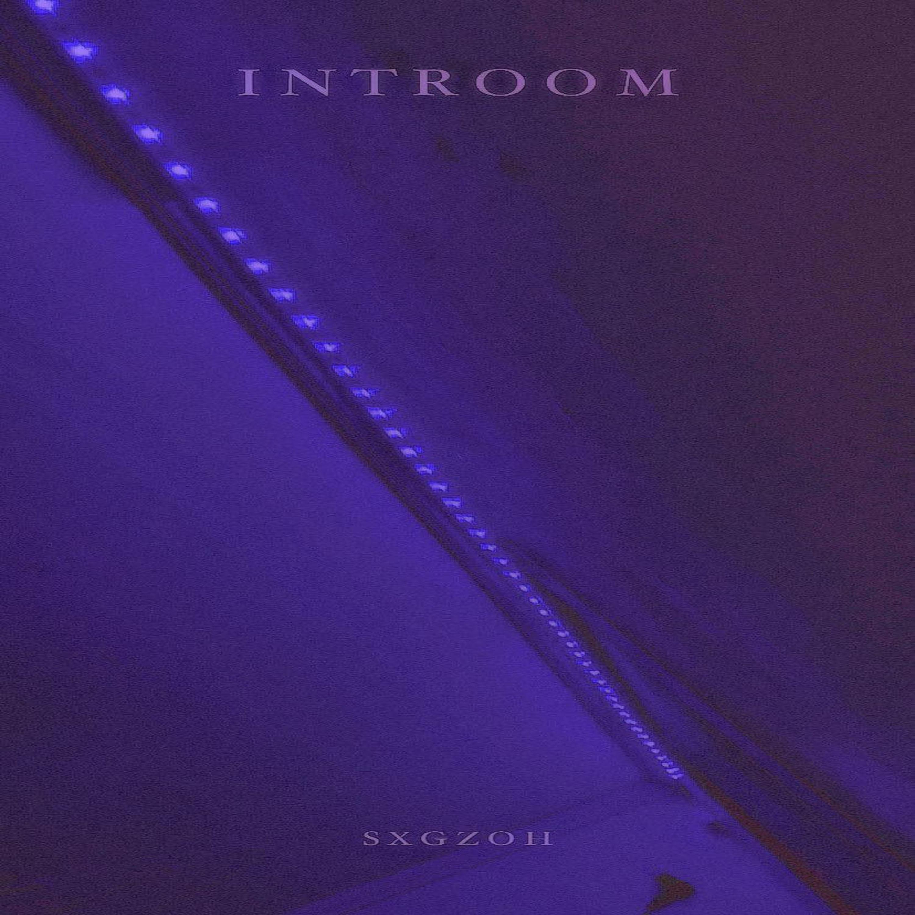 Постер альбома Introom