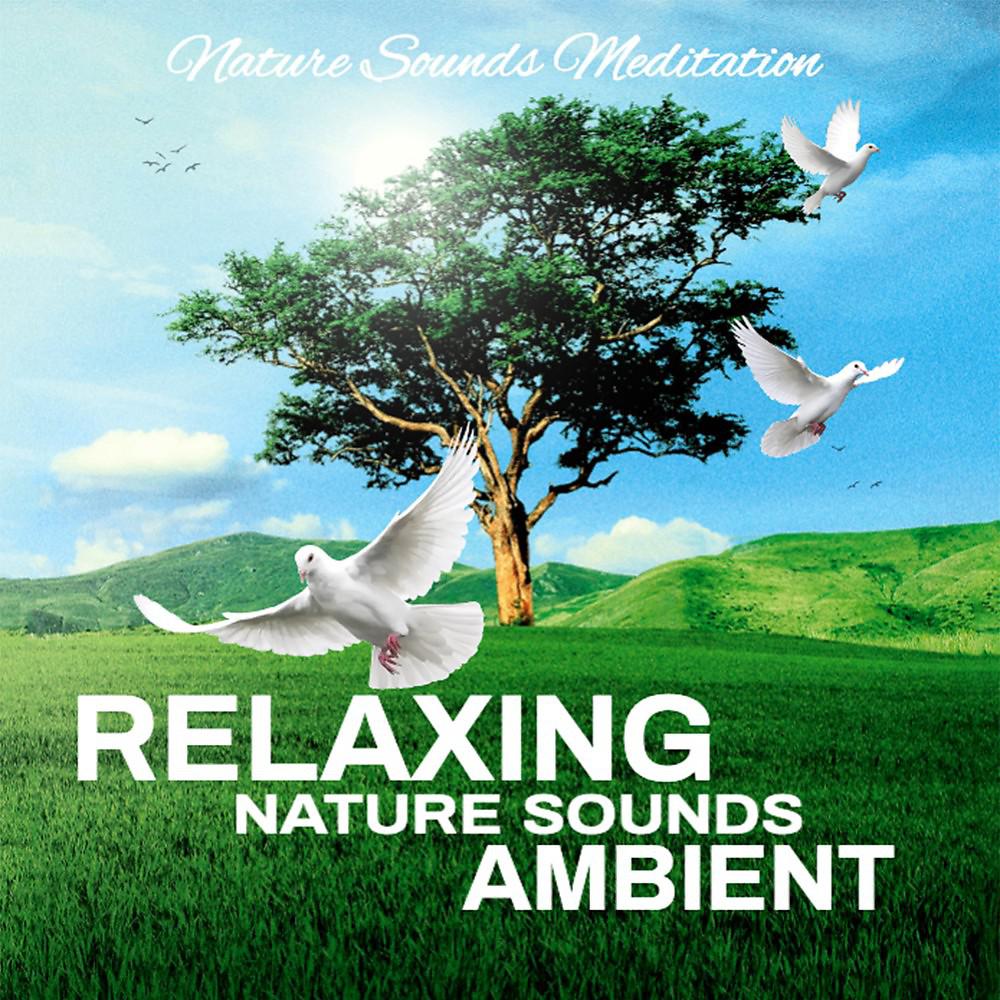 Постер альбома Relaxing Nature Sounds Ambient