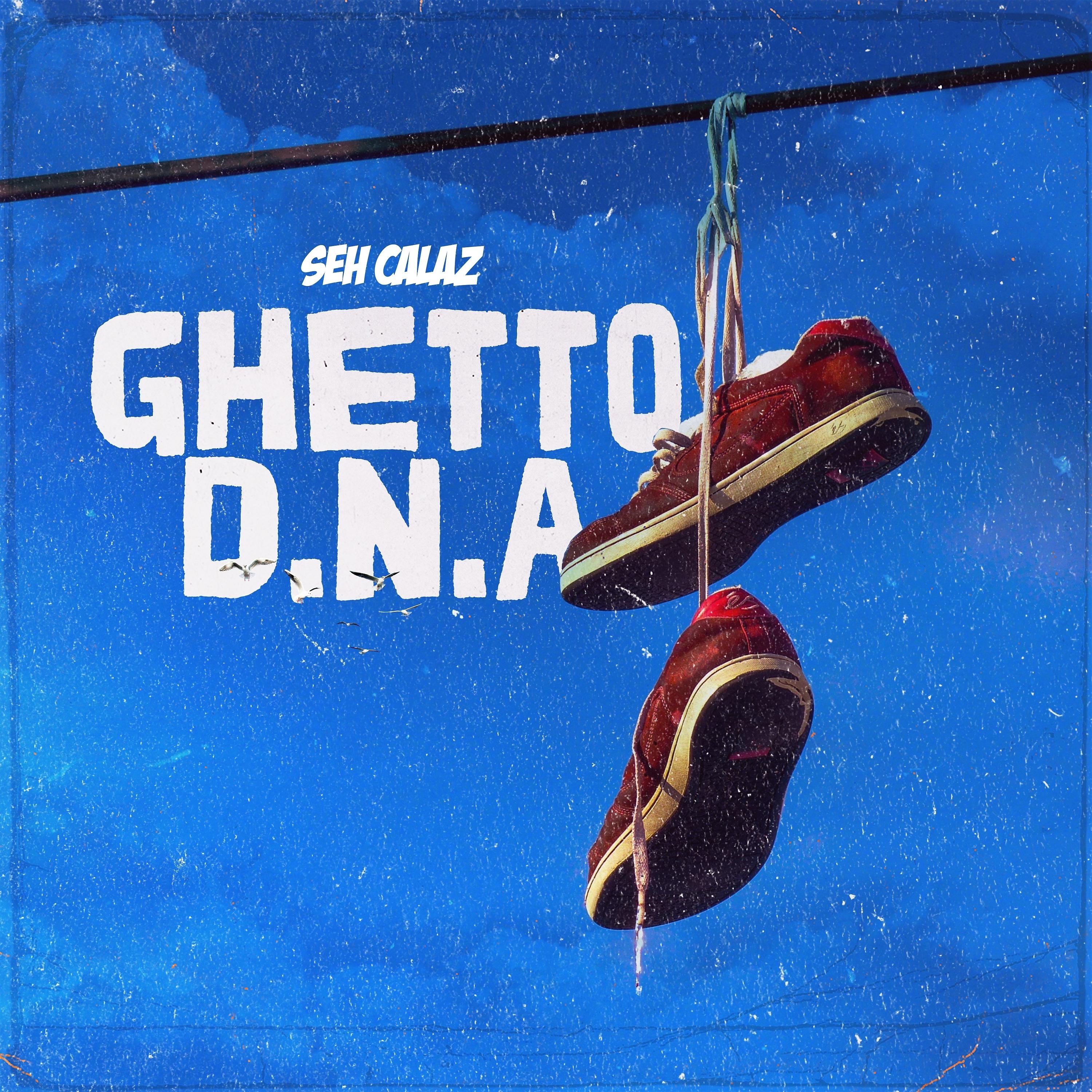 Постер альбома Ghetto D.N.A