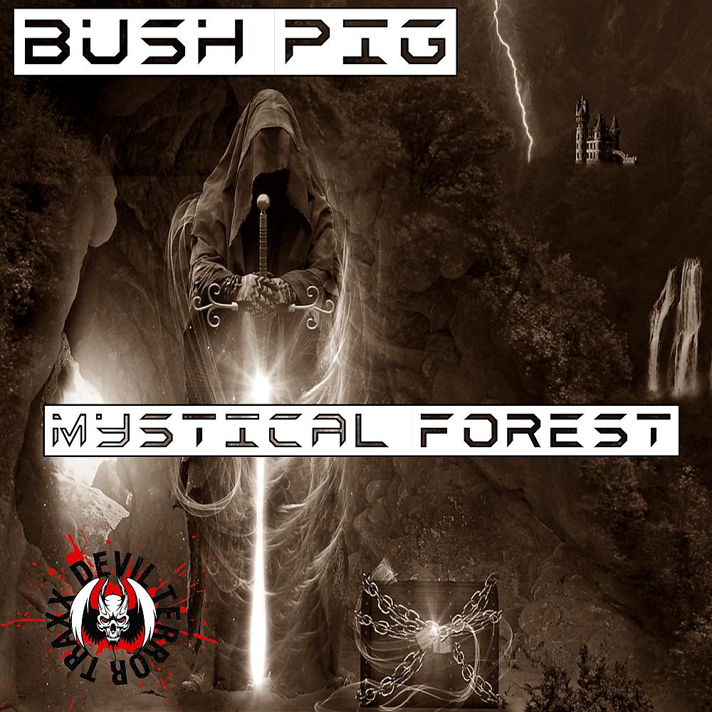 Постер альбома Mystical Forest