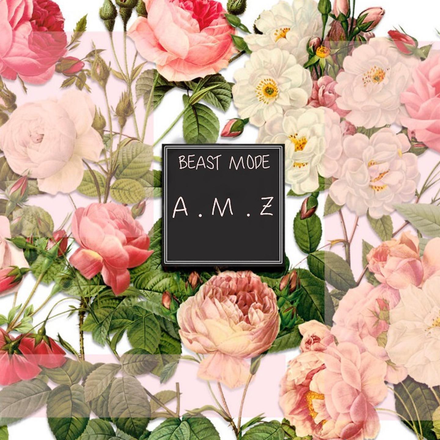 Постер альбома A. M. Z