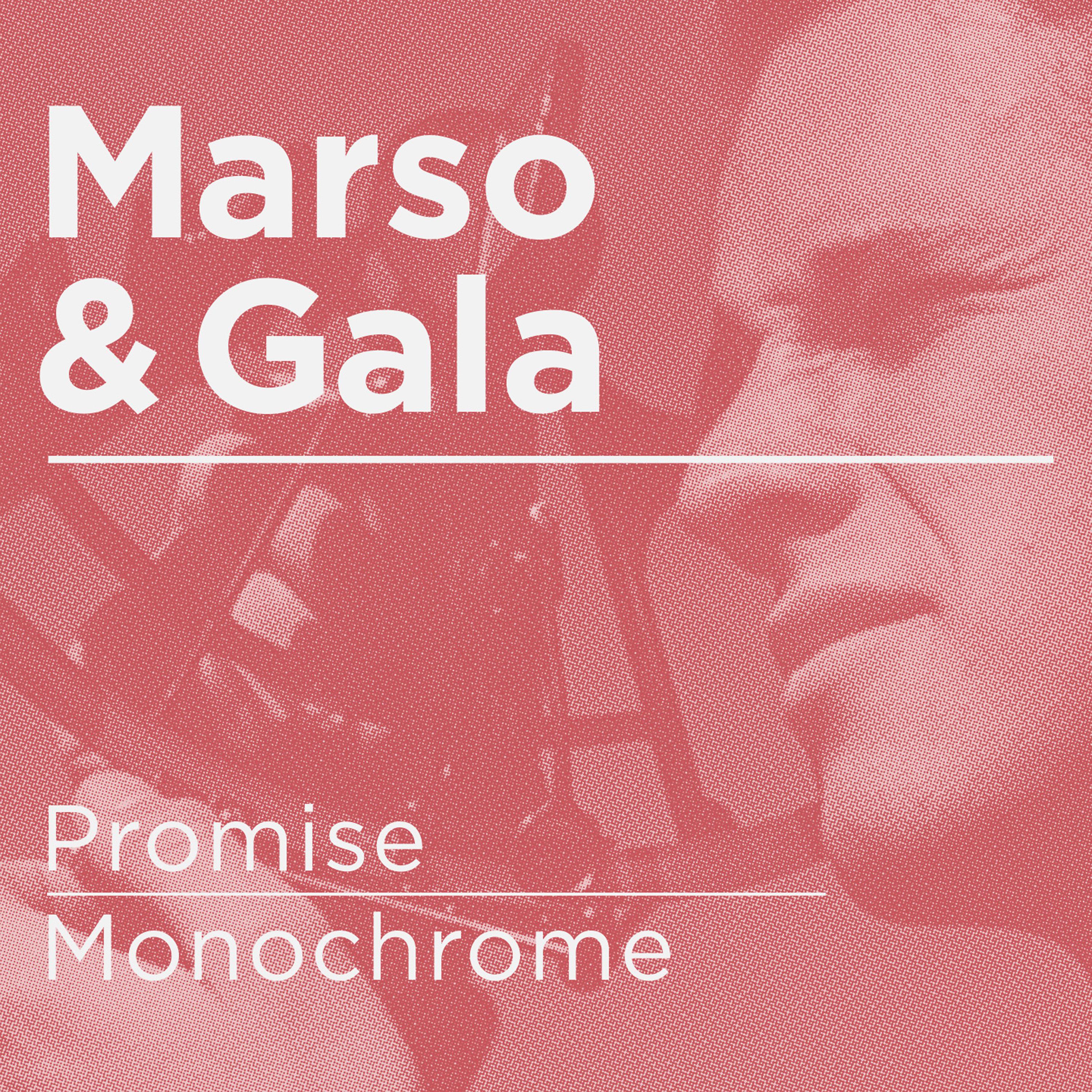 Постер альбома Promise / Monochrome