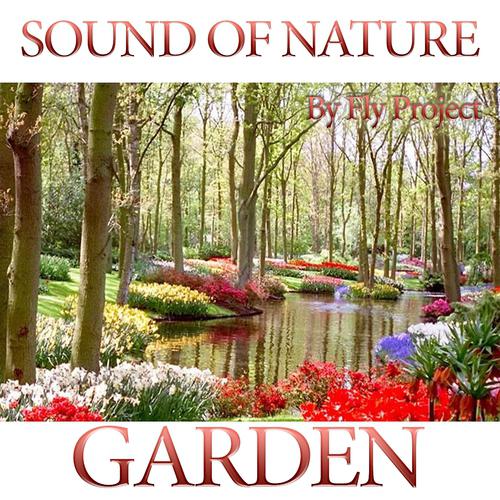 Постер альбома Sound of Nature: Nature Garden