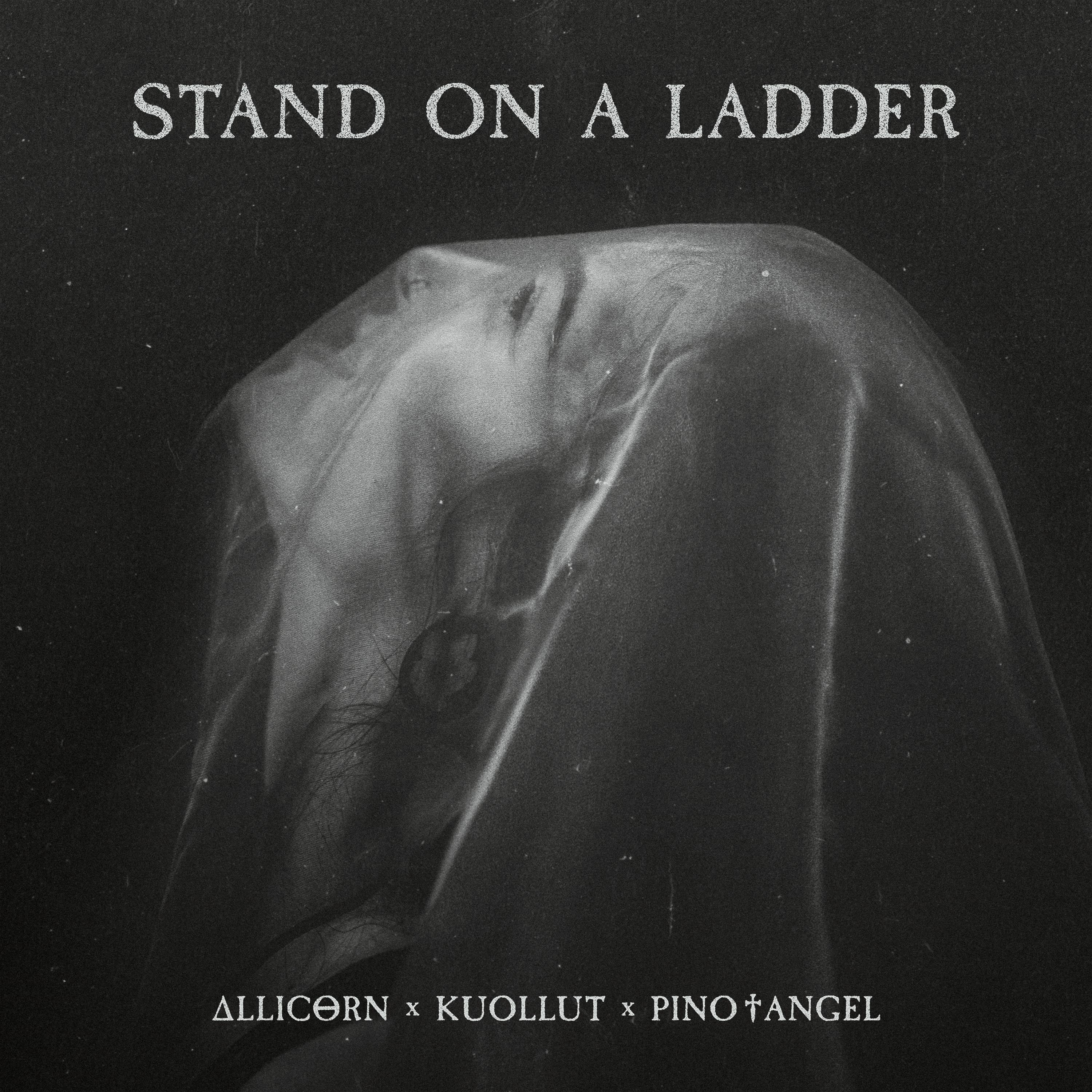 Постер альбома Stand On A Ladder