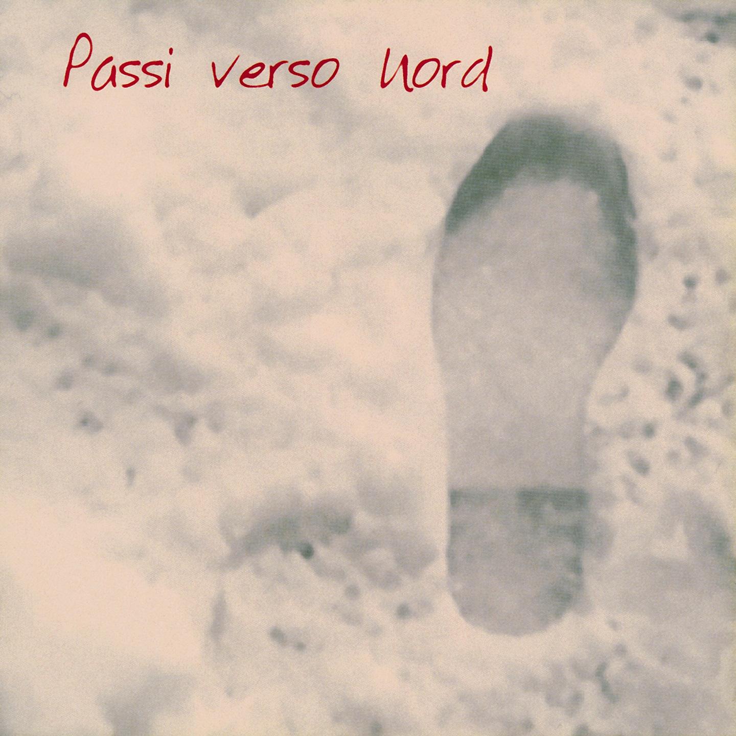 Постер альбома Passi verso nord