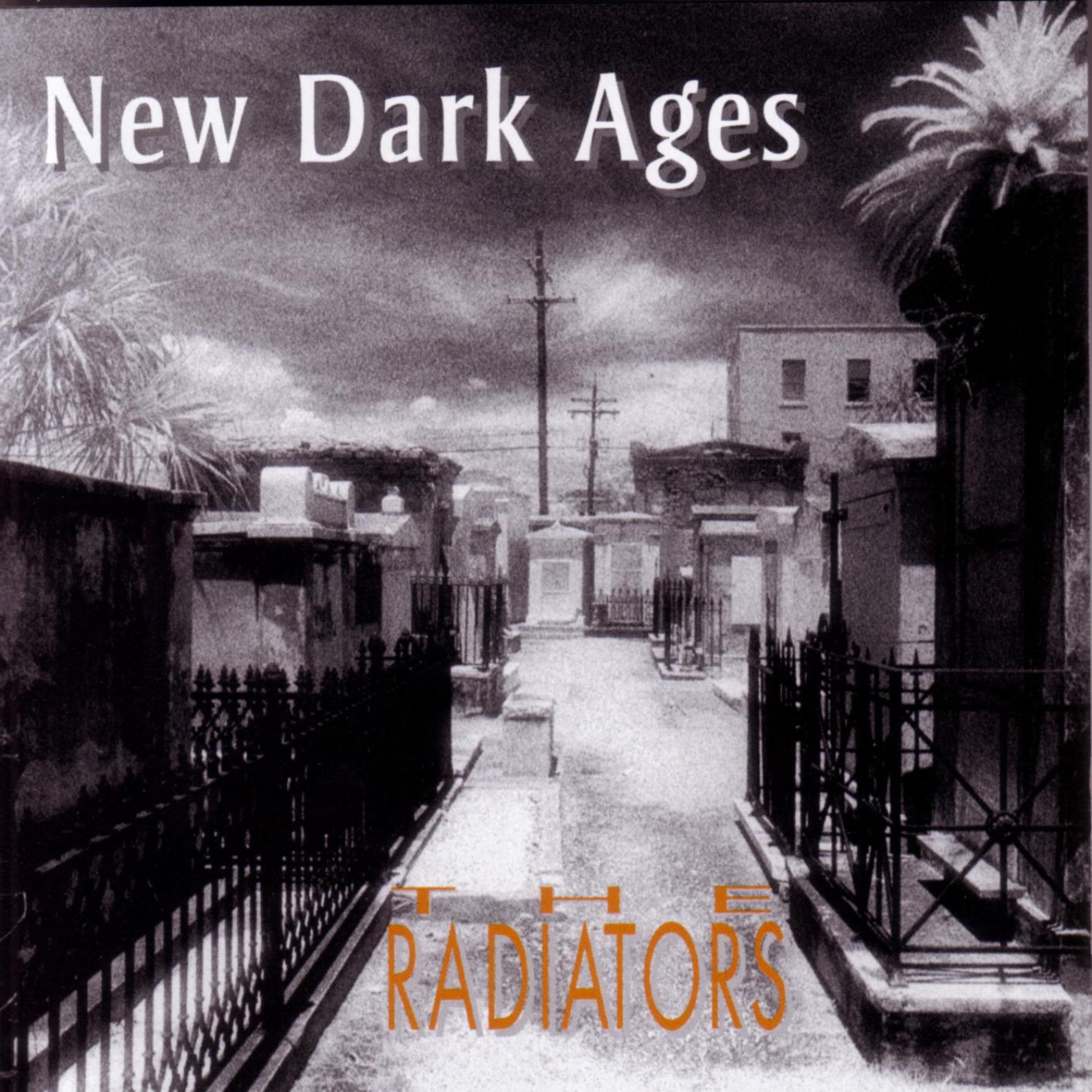 Постер альбома New Dark Ages