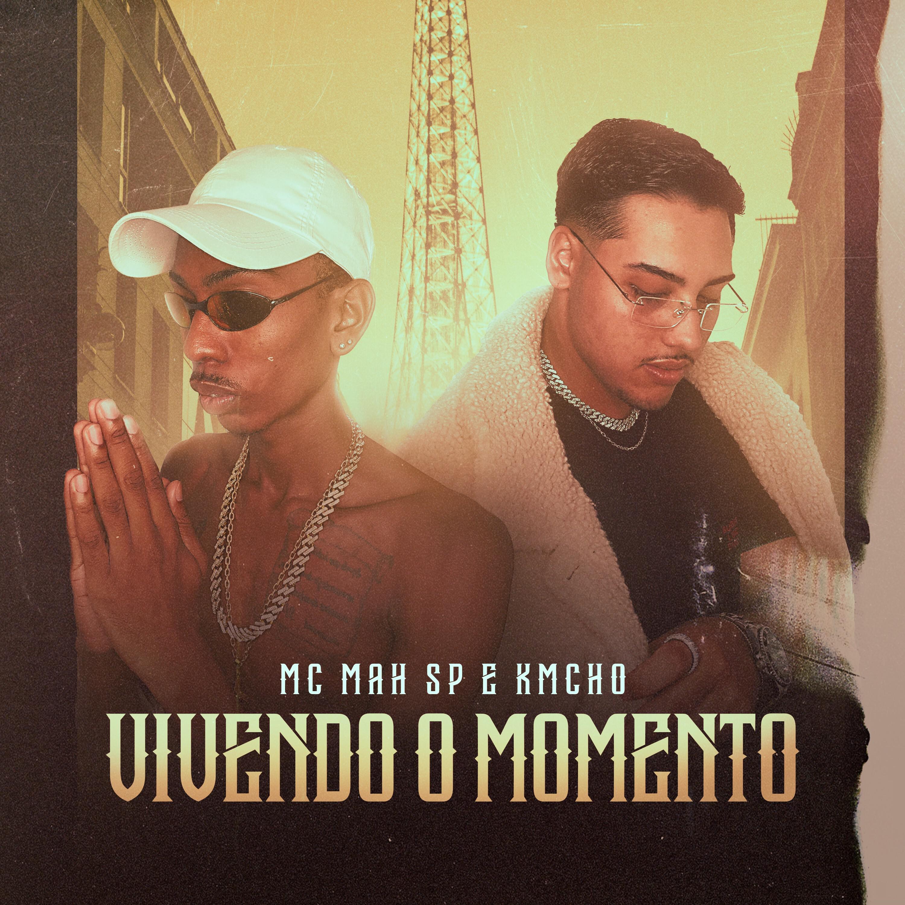 Постер альбома Vivendo o Momento