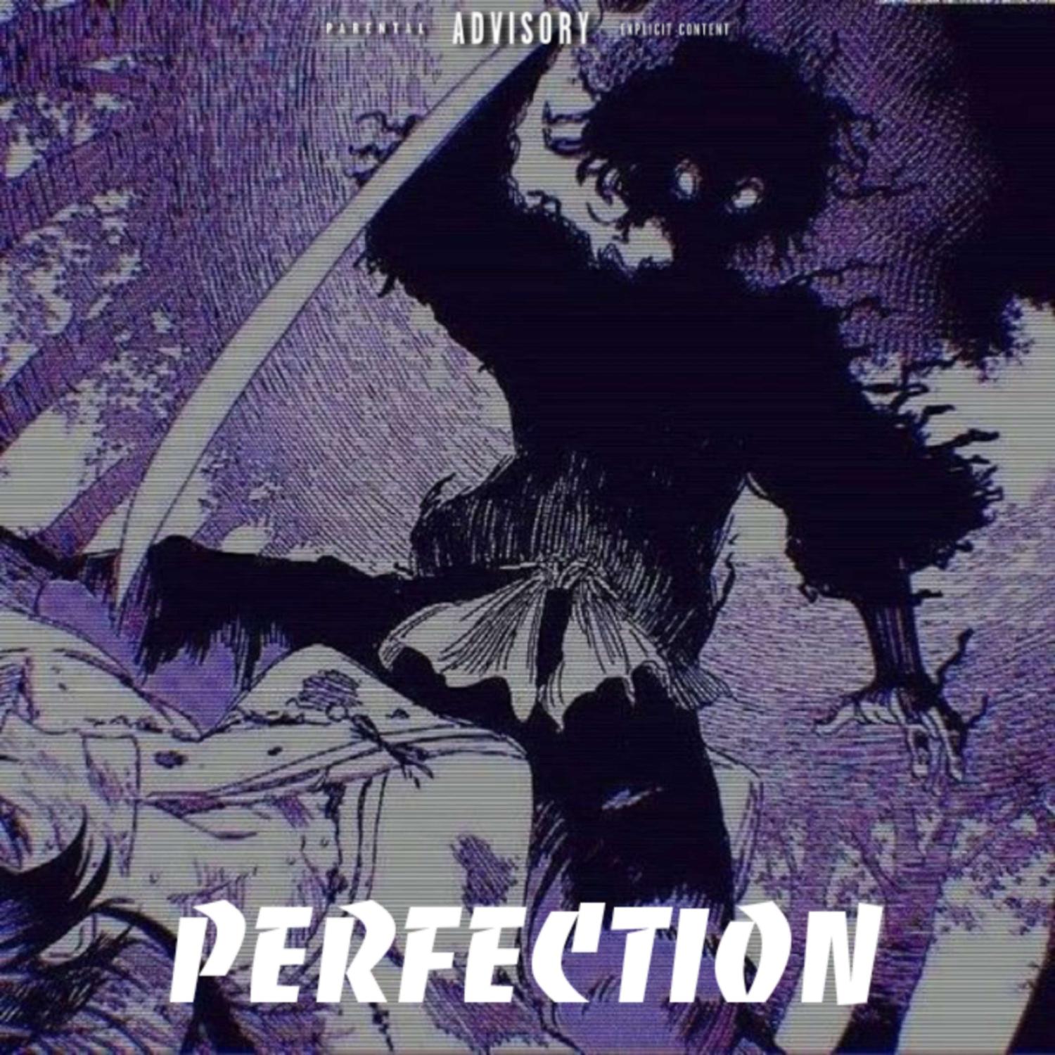 Постер альбома PERFECTION