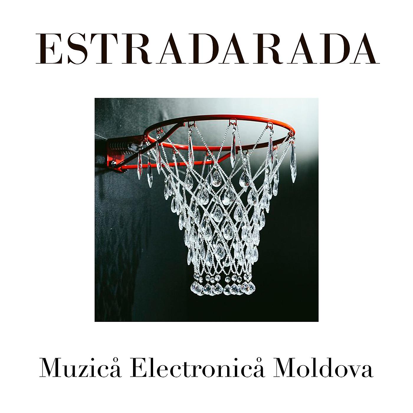Постер альбома Muzica Electronica Moldova (Гопцаца)