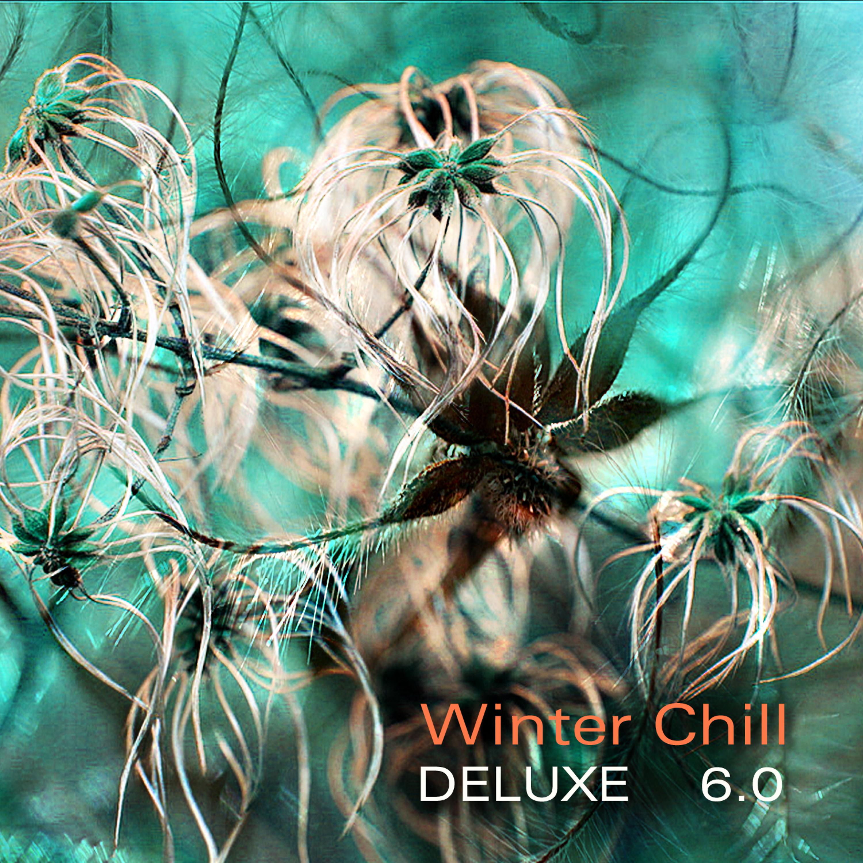 Постер альбома Winter Chill Deluxe 6.0