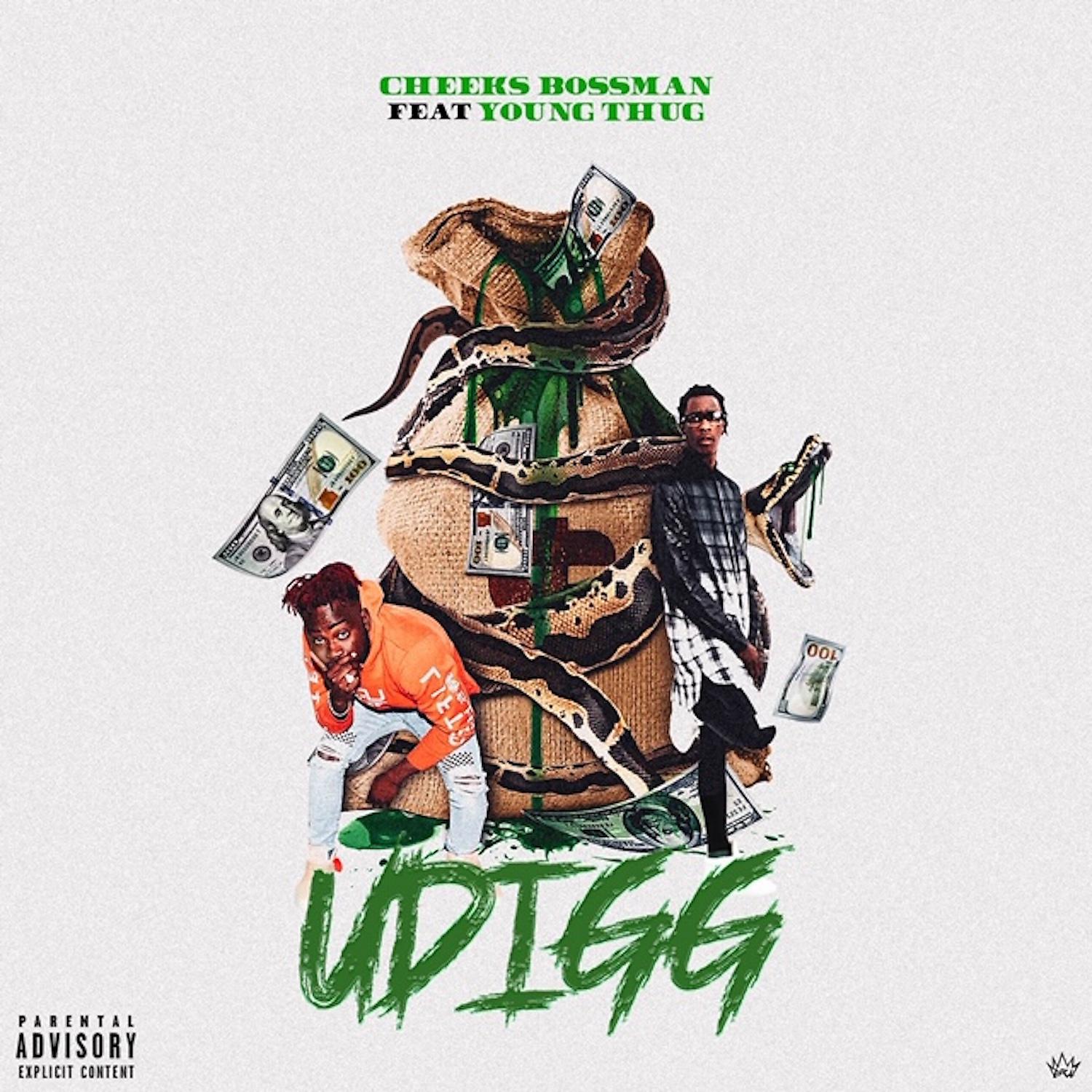 Постер альбома UDIGG (feat. Young Thug)
