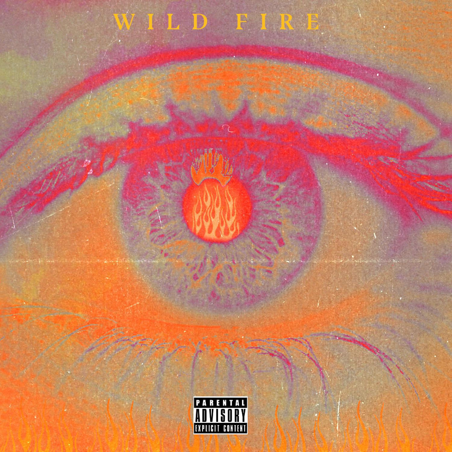 Постер альбома Wild Fire