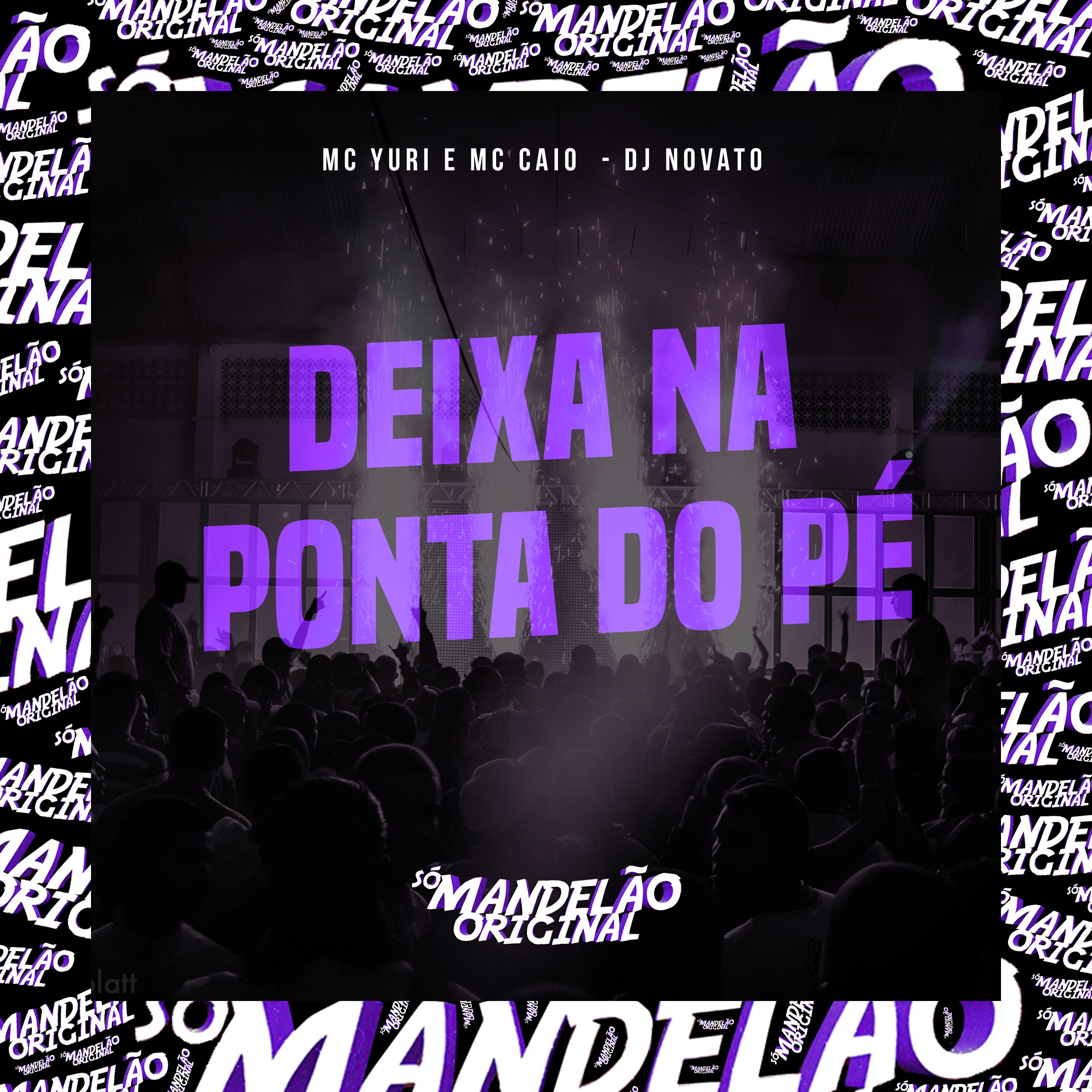 Постер альбома Deixa na Ponta do Pé