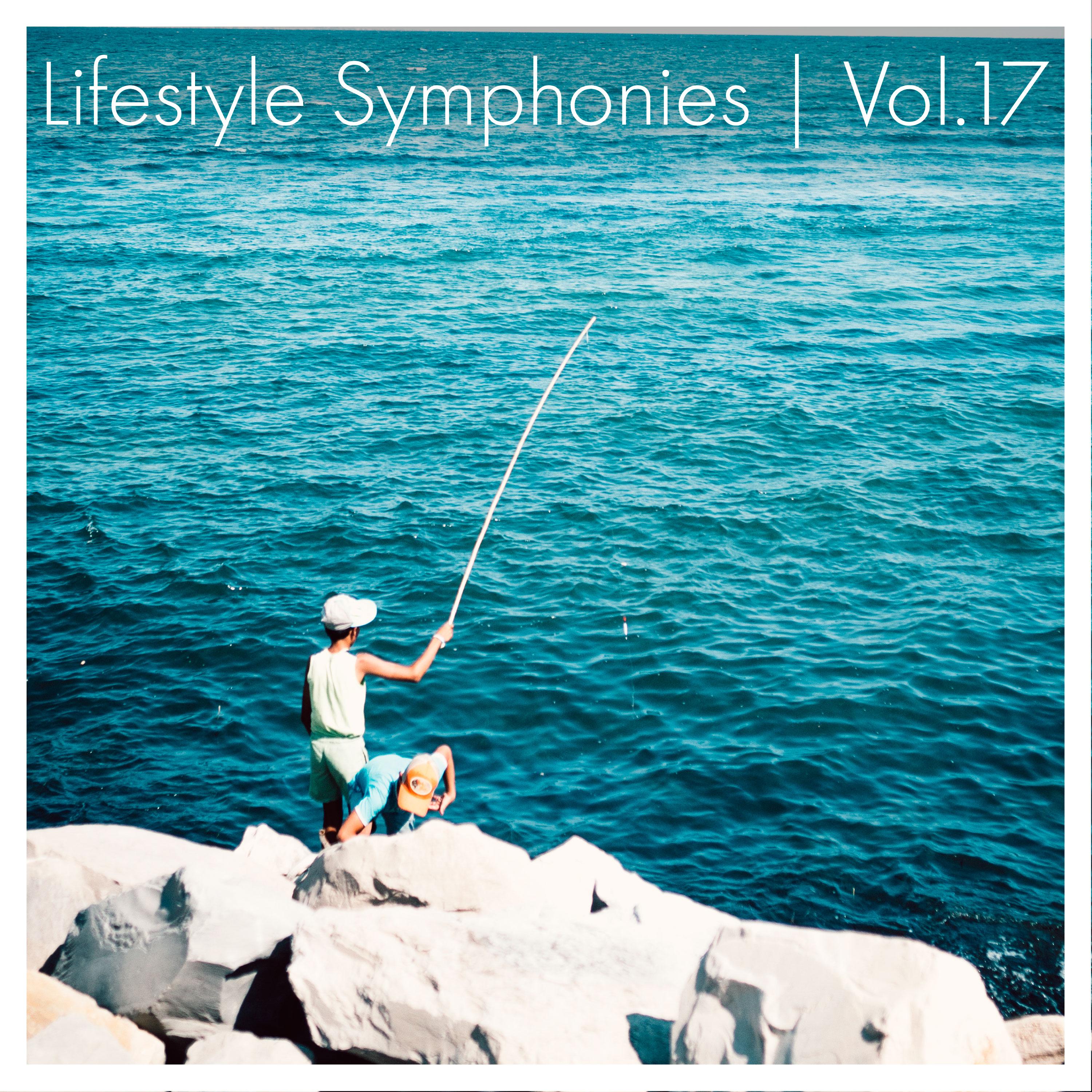 Постер альбома Lifestyle Symphonies, Vol. 17