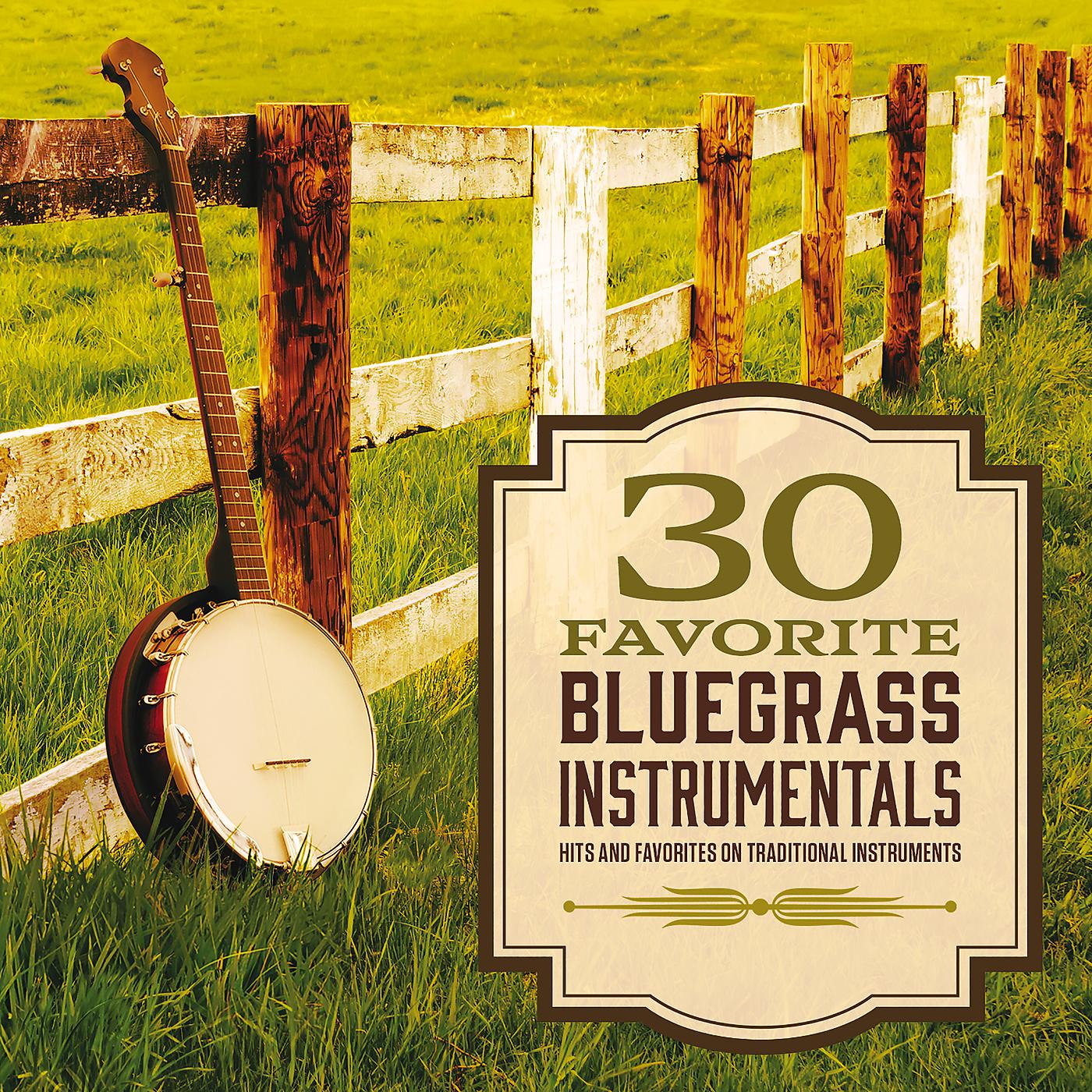 Постер альбома 30 Favorite Bluegrass Instrumentals