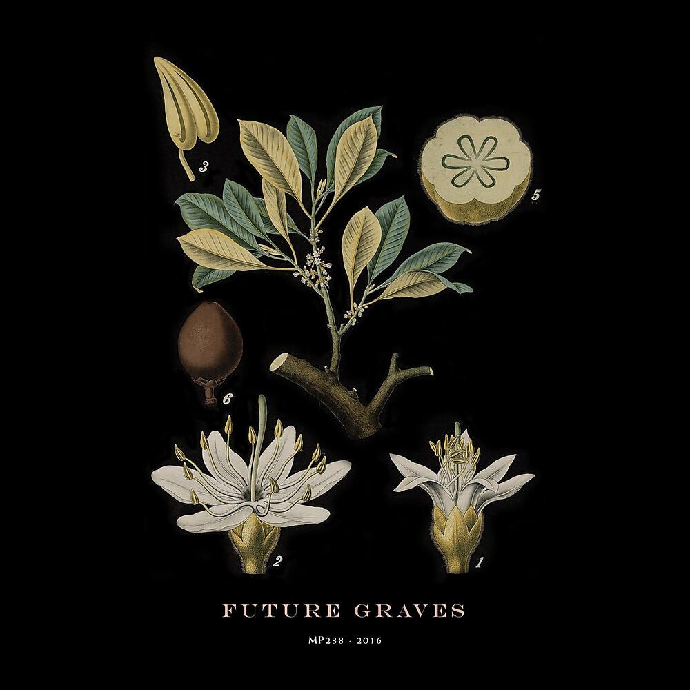 Постер альбома Future Graves