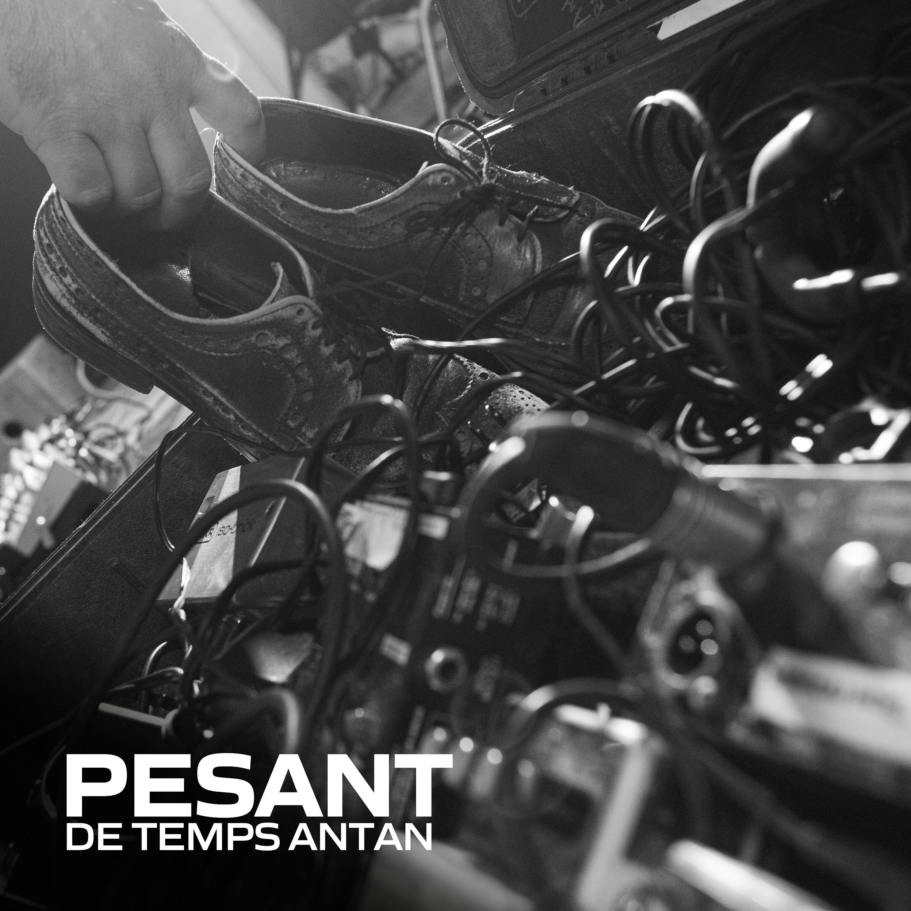 Постер альбома Réjean Pesant