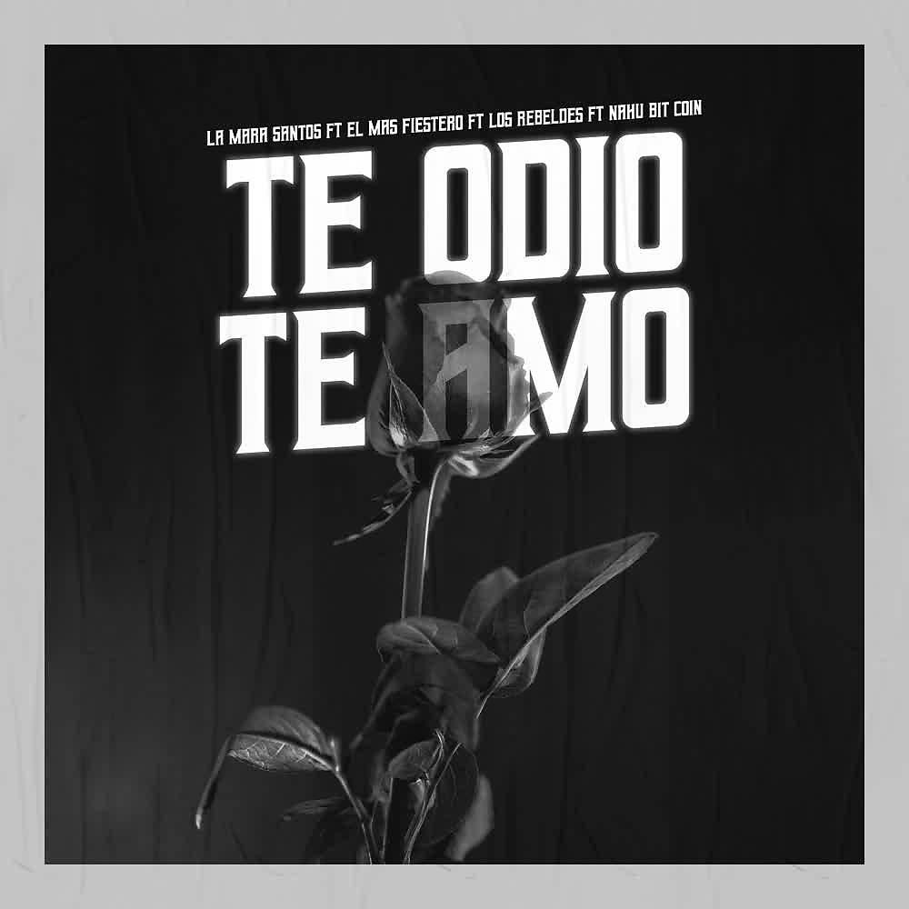Постер альбома Te Odio Te Amo