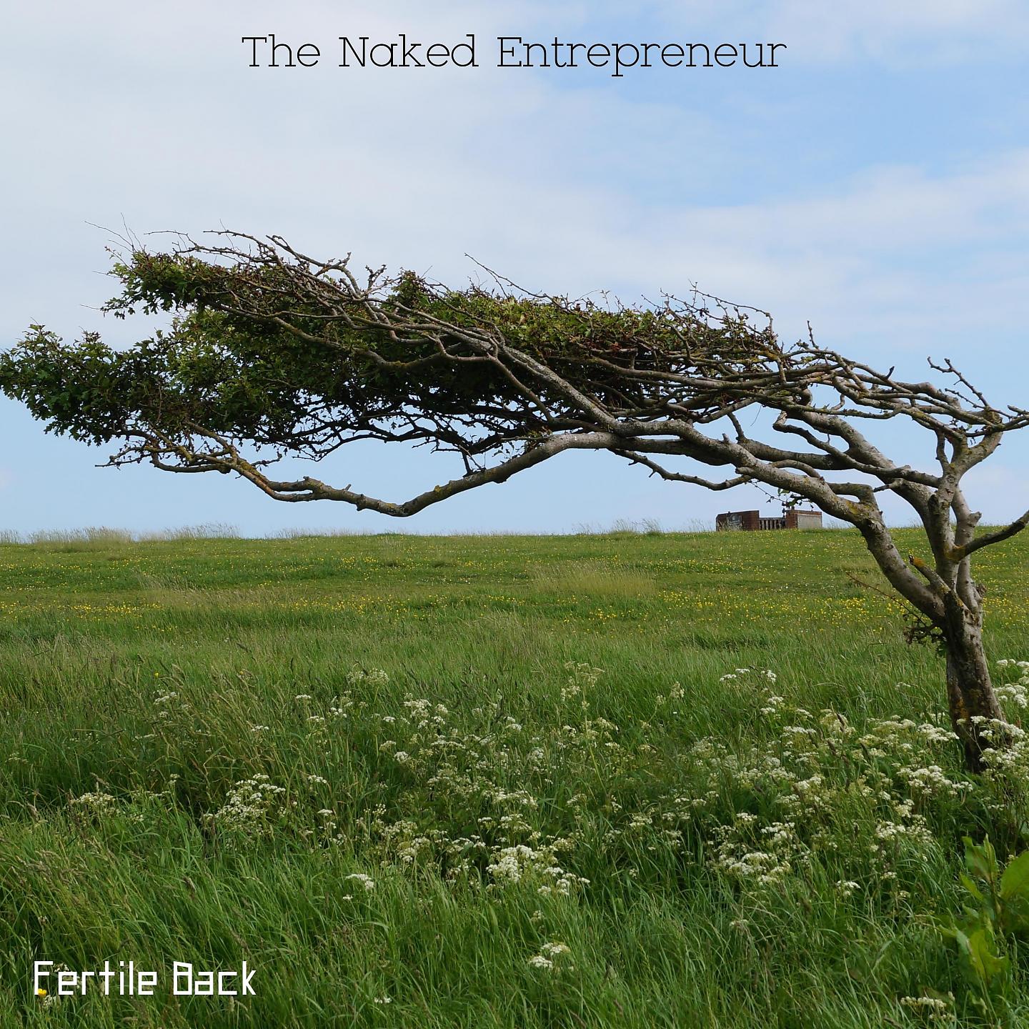Постер альбома The Naked Entrepreneur