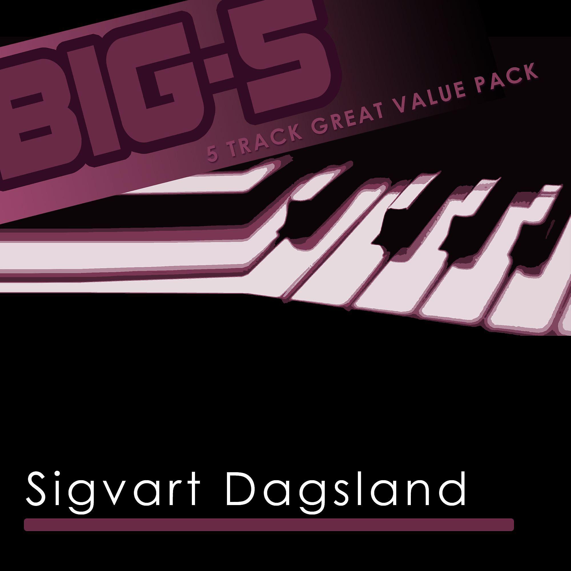 Постер альбома Big-5: Sigvart Dagsland