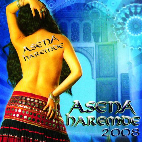 Постер альбома Asena Haremde 2008