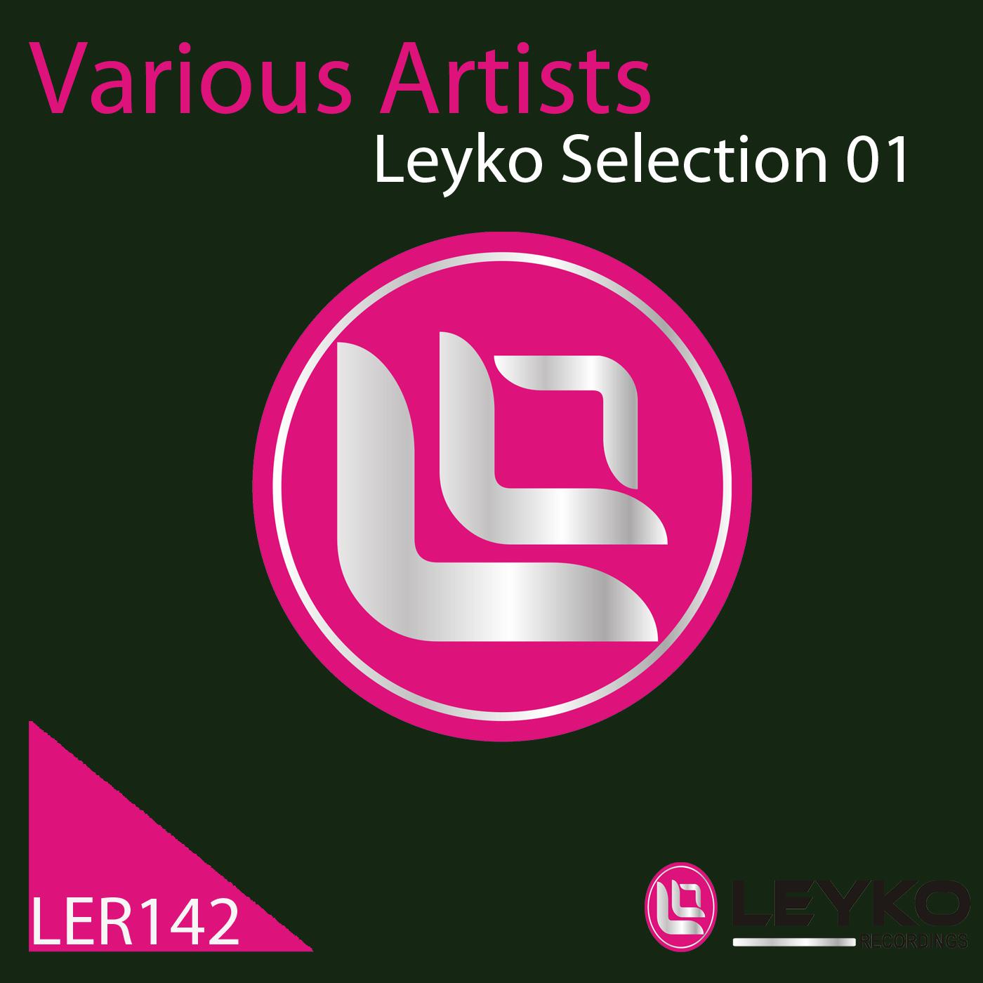 Постер альбома Leyko Selection 01