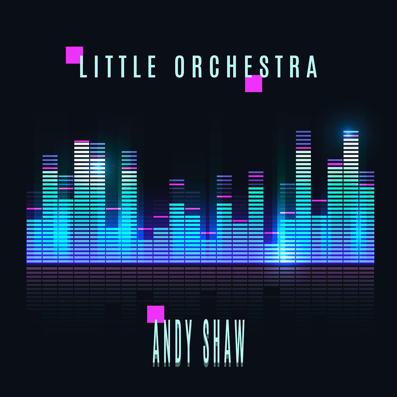 Постер альбома Little Orchestra