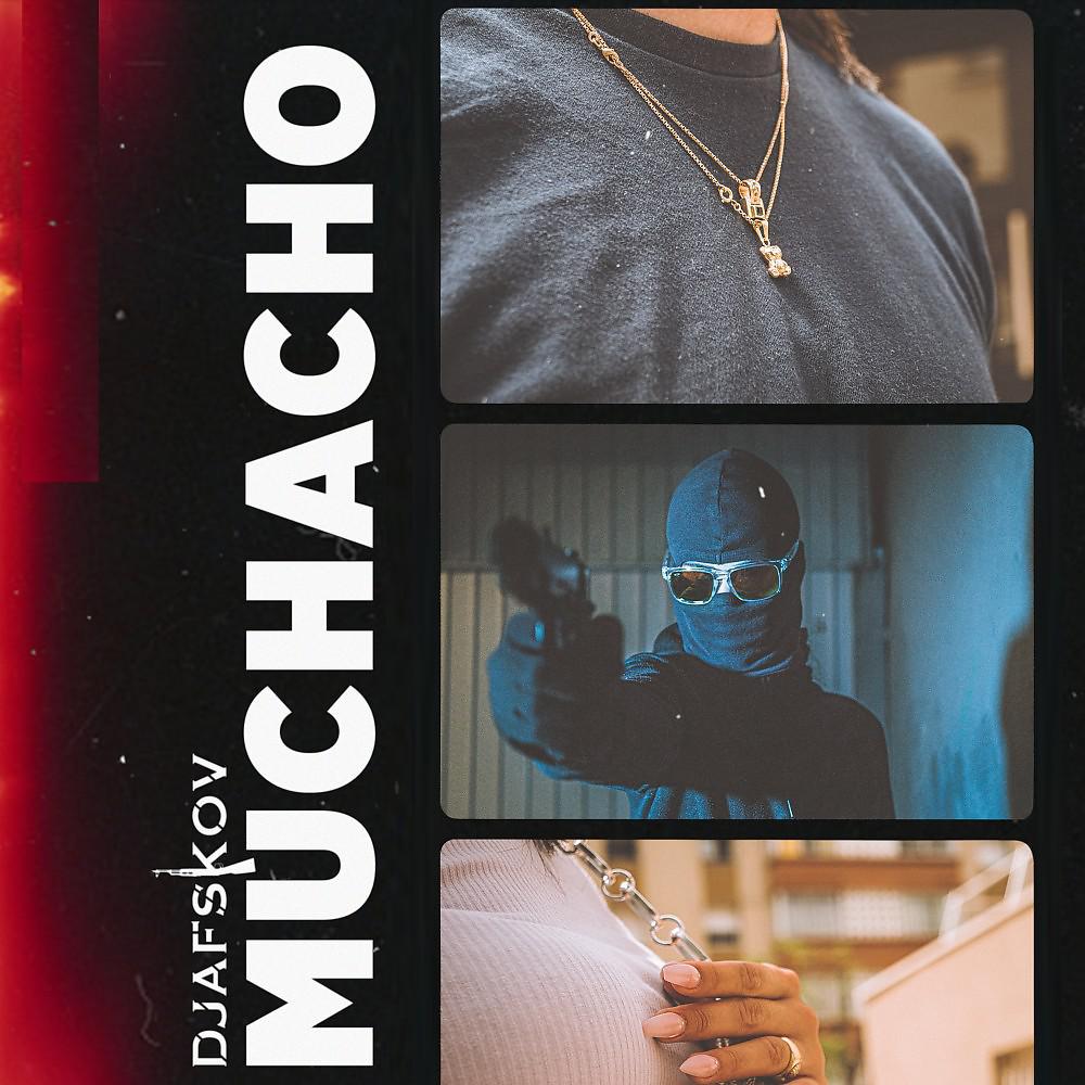 Постер альбома Muchacho