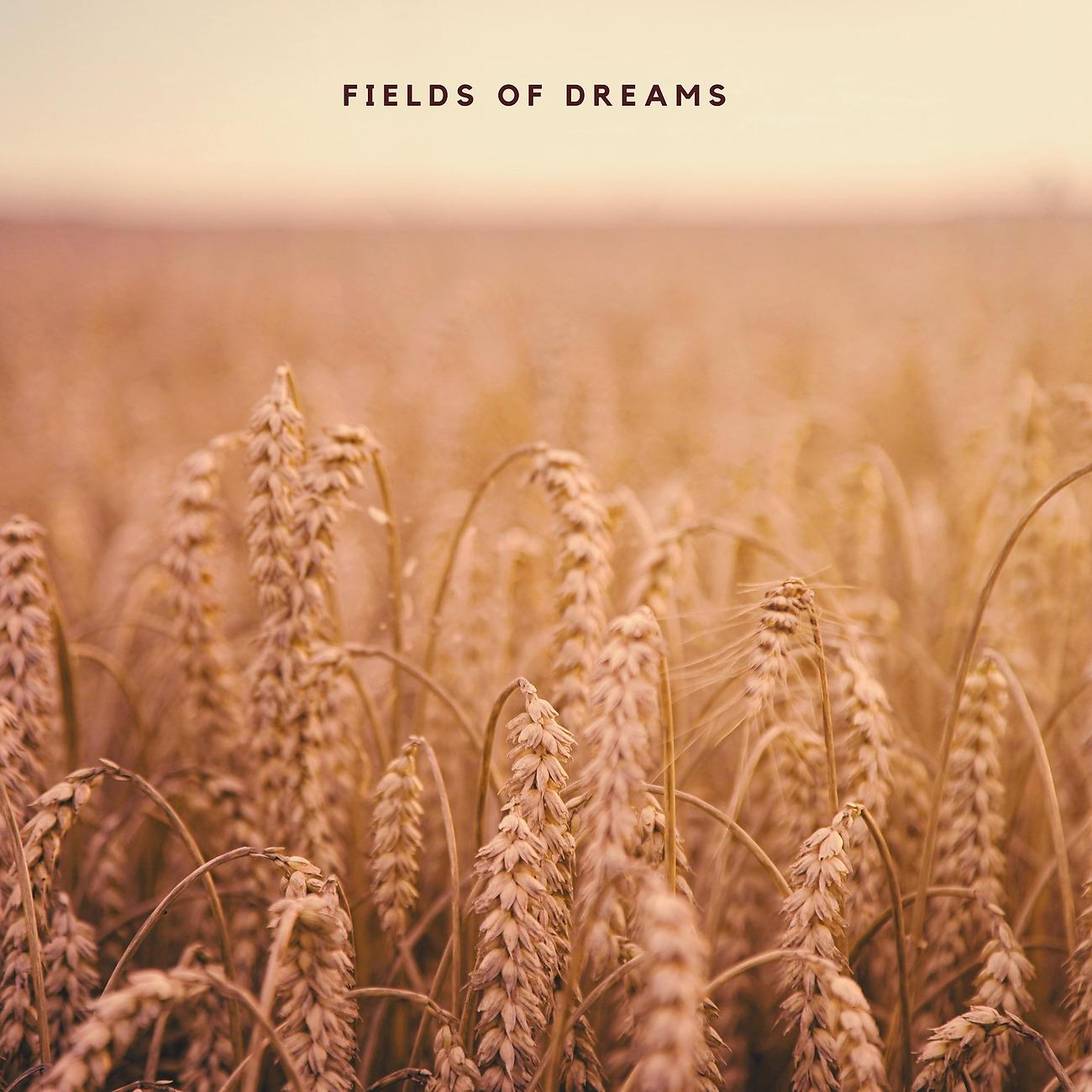 Постер альбома Fields of Dreams