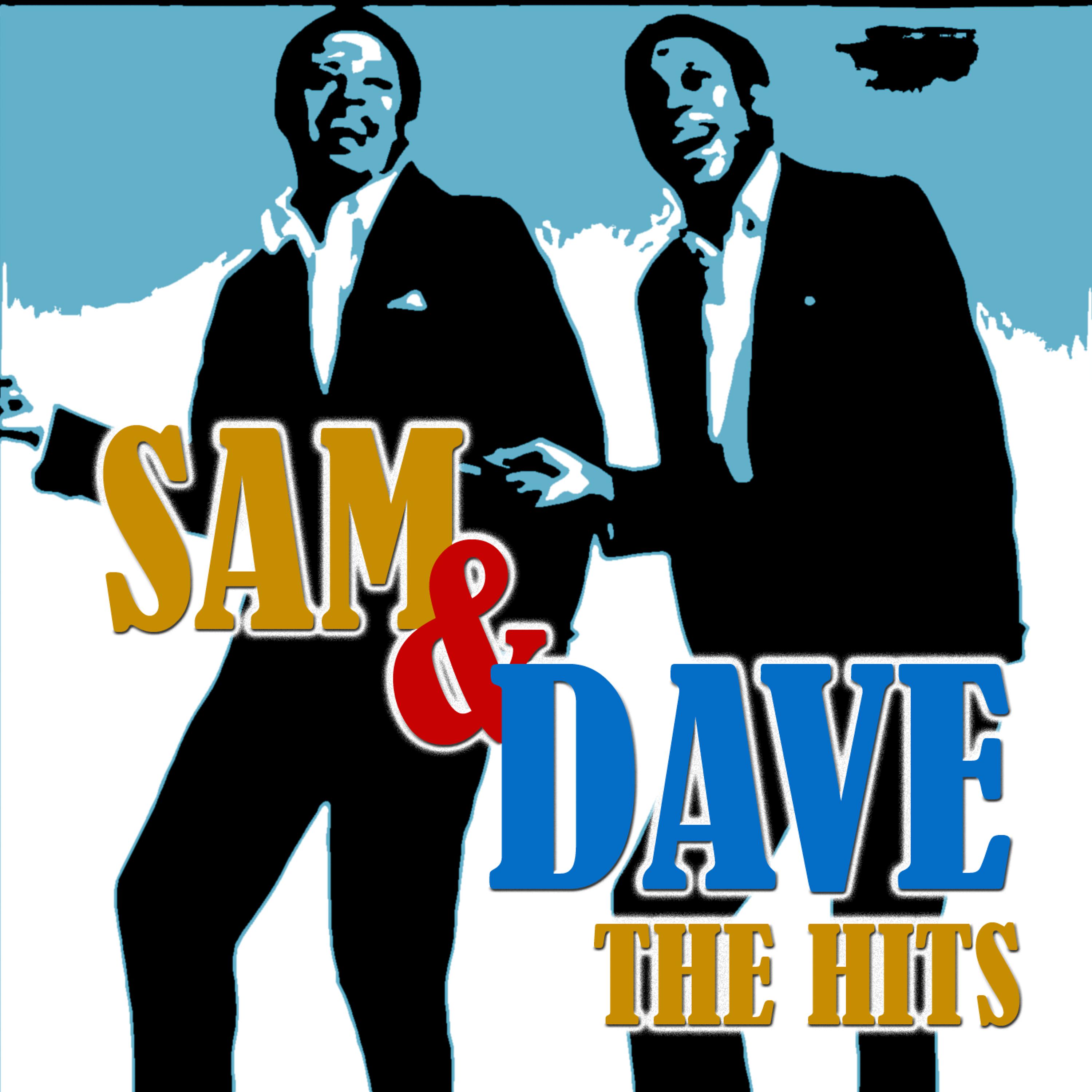 Постер альбома Sam And Dave - The Hits