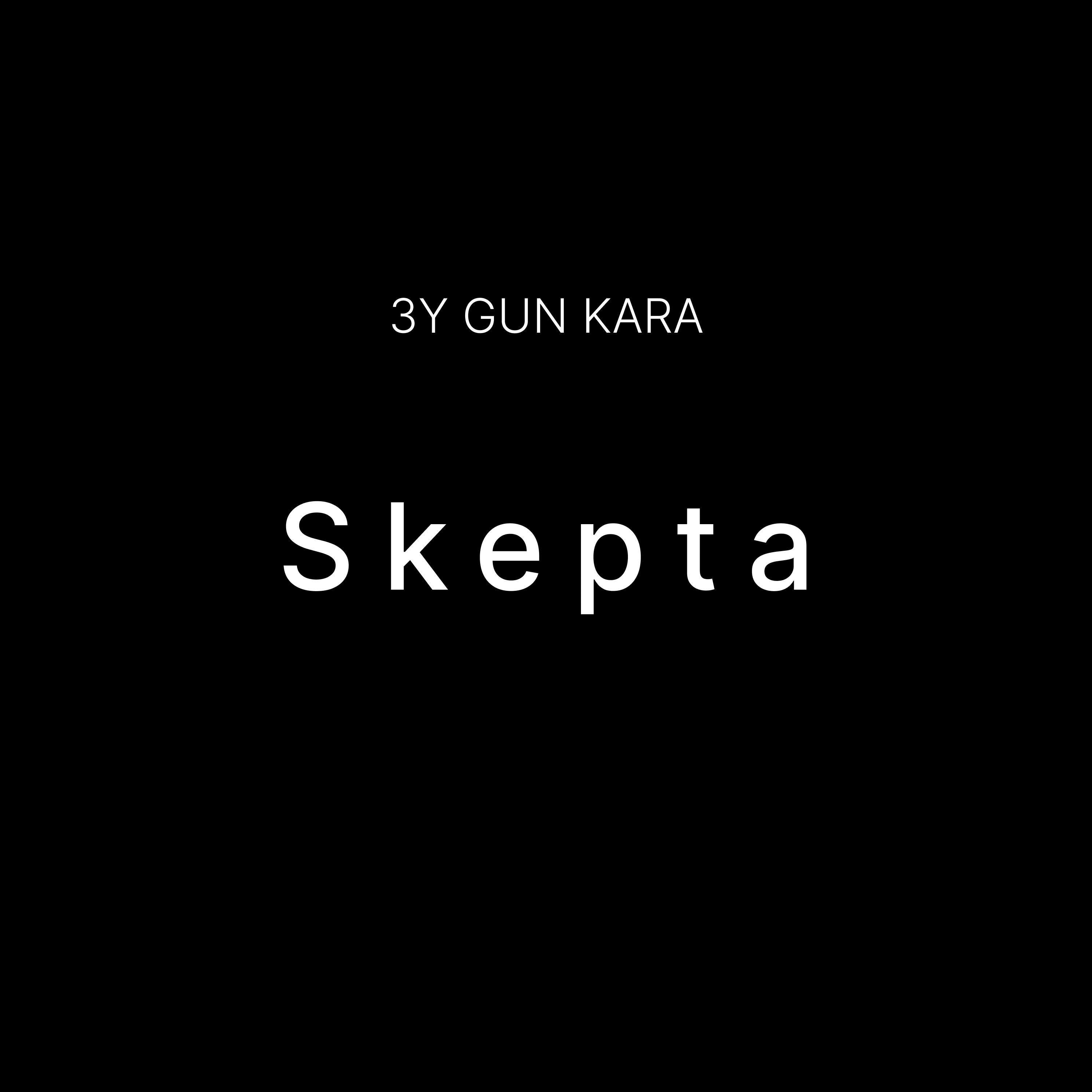 Постер альбома Skepta